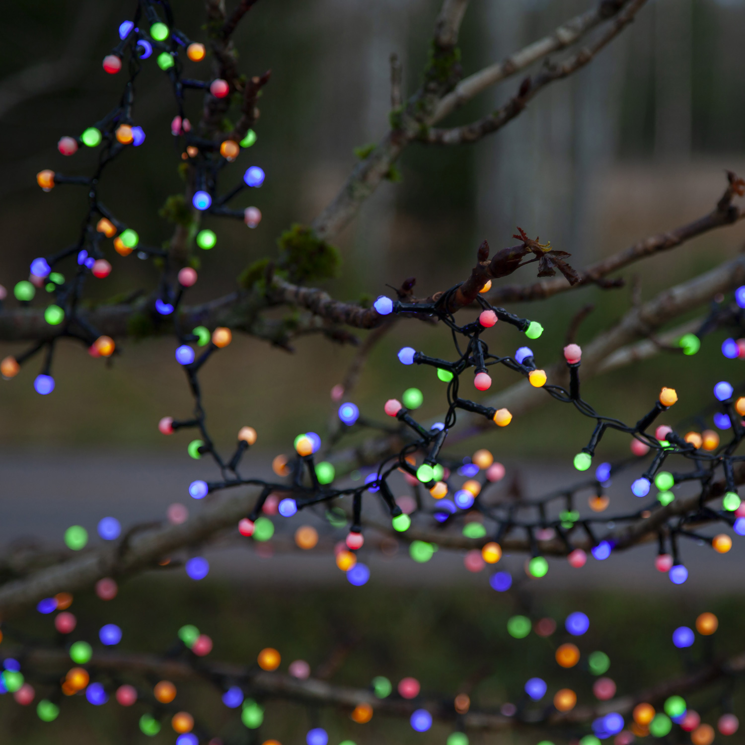 LED Lichterkette Berry Mini - 700 bunte opale LED - 14m - 8 Funktionen - Trafo - Timer - outdoor