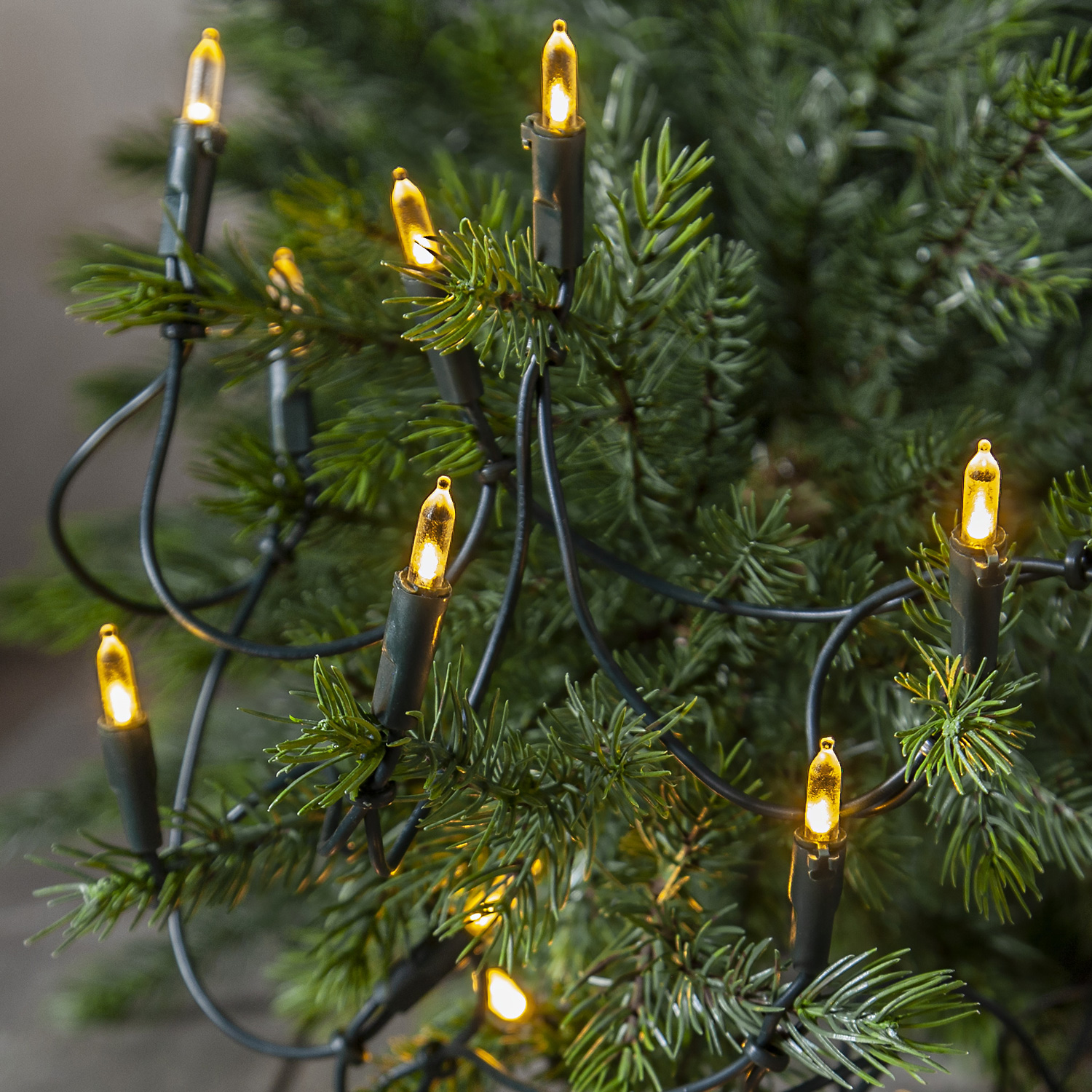 LED Lichterkette Pisello - Weihnachtslichterkette - 35 warmweiße LED - L: 5,1m - für Innen