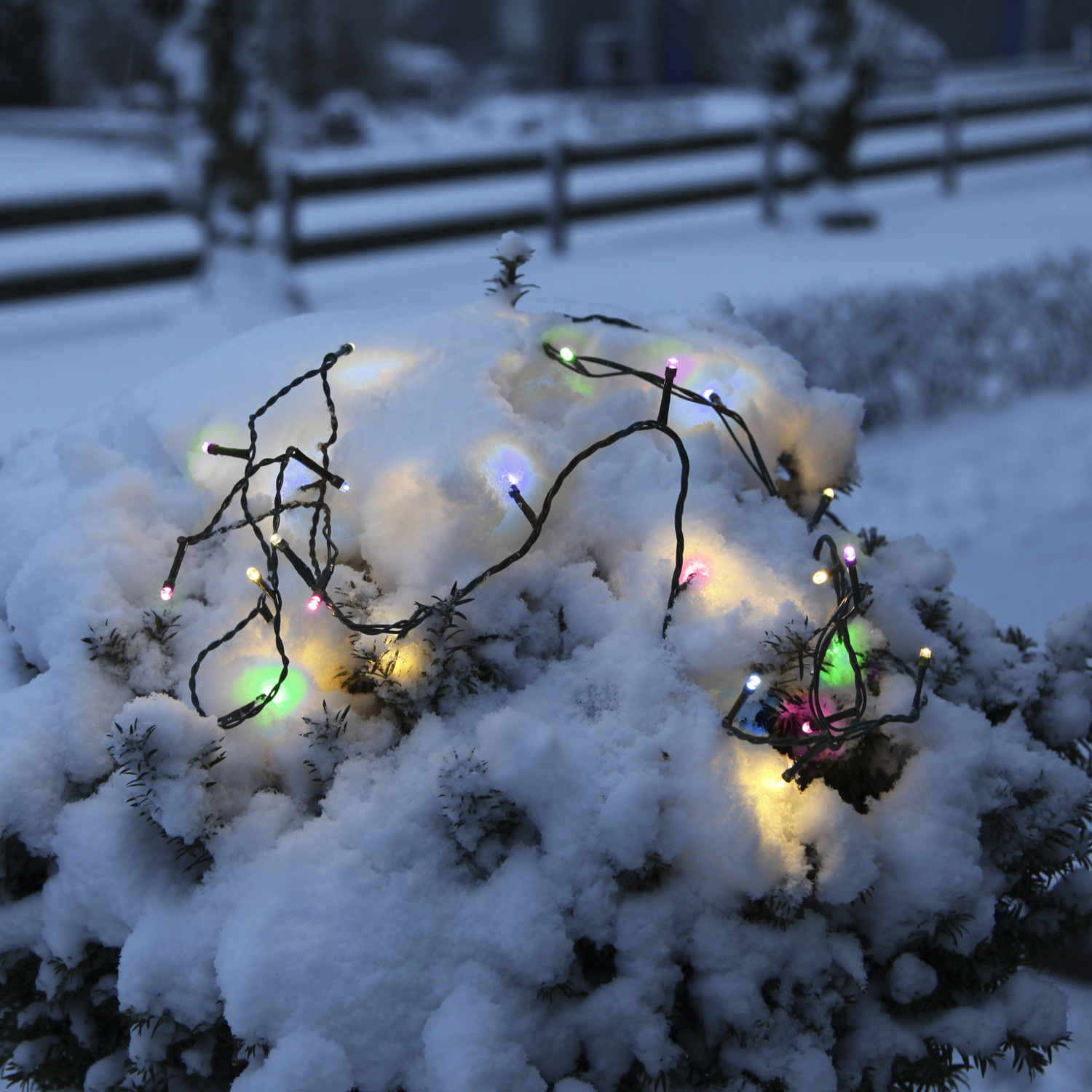 LED Lichterkette - Serie LED - Outdoor - 16m schwarzes Kabel - 160 bunte LED