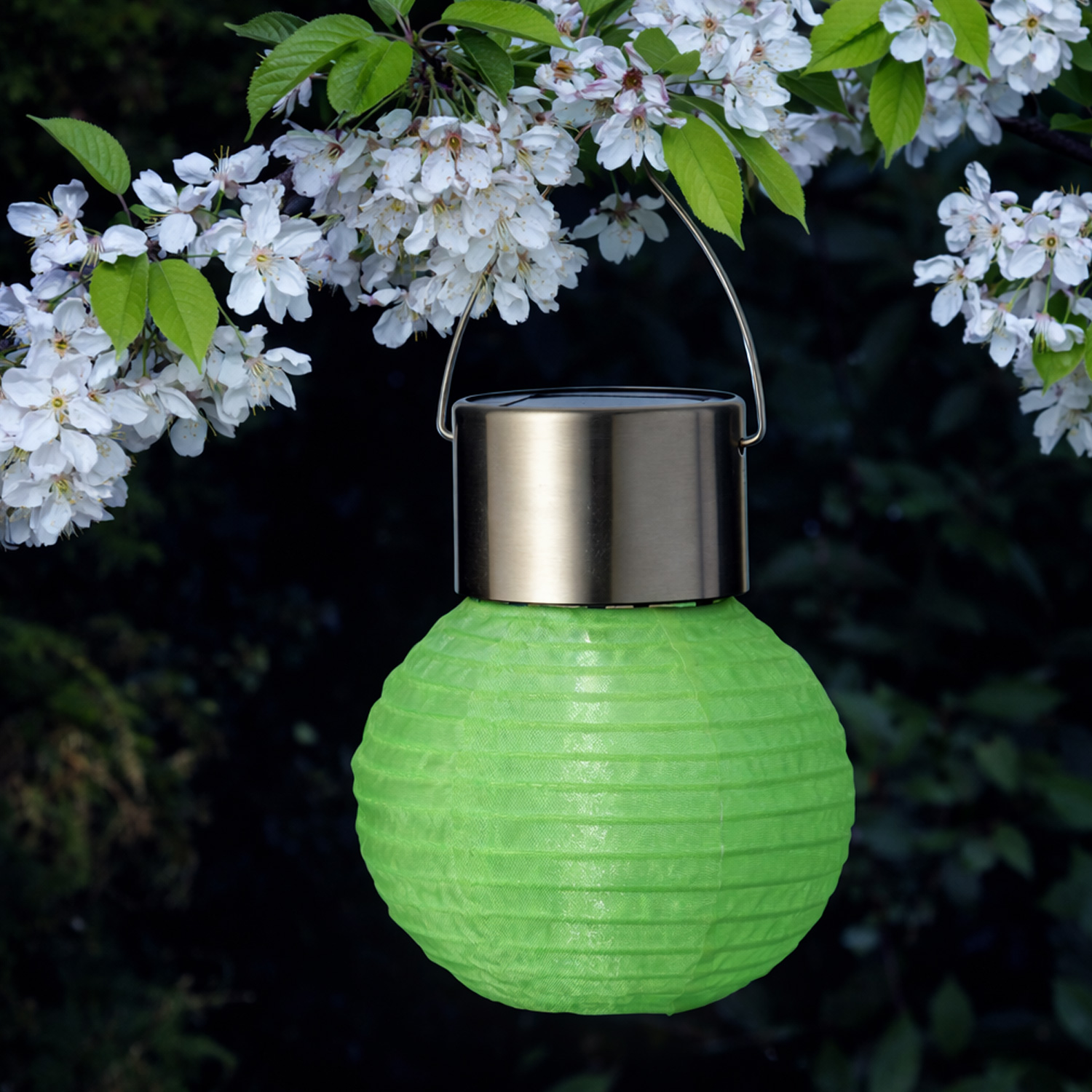 LED Solar Mini Lampion - kaltweiße LED - H: 9,5cm - D: 7cm - Lichtsensor - grün