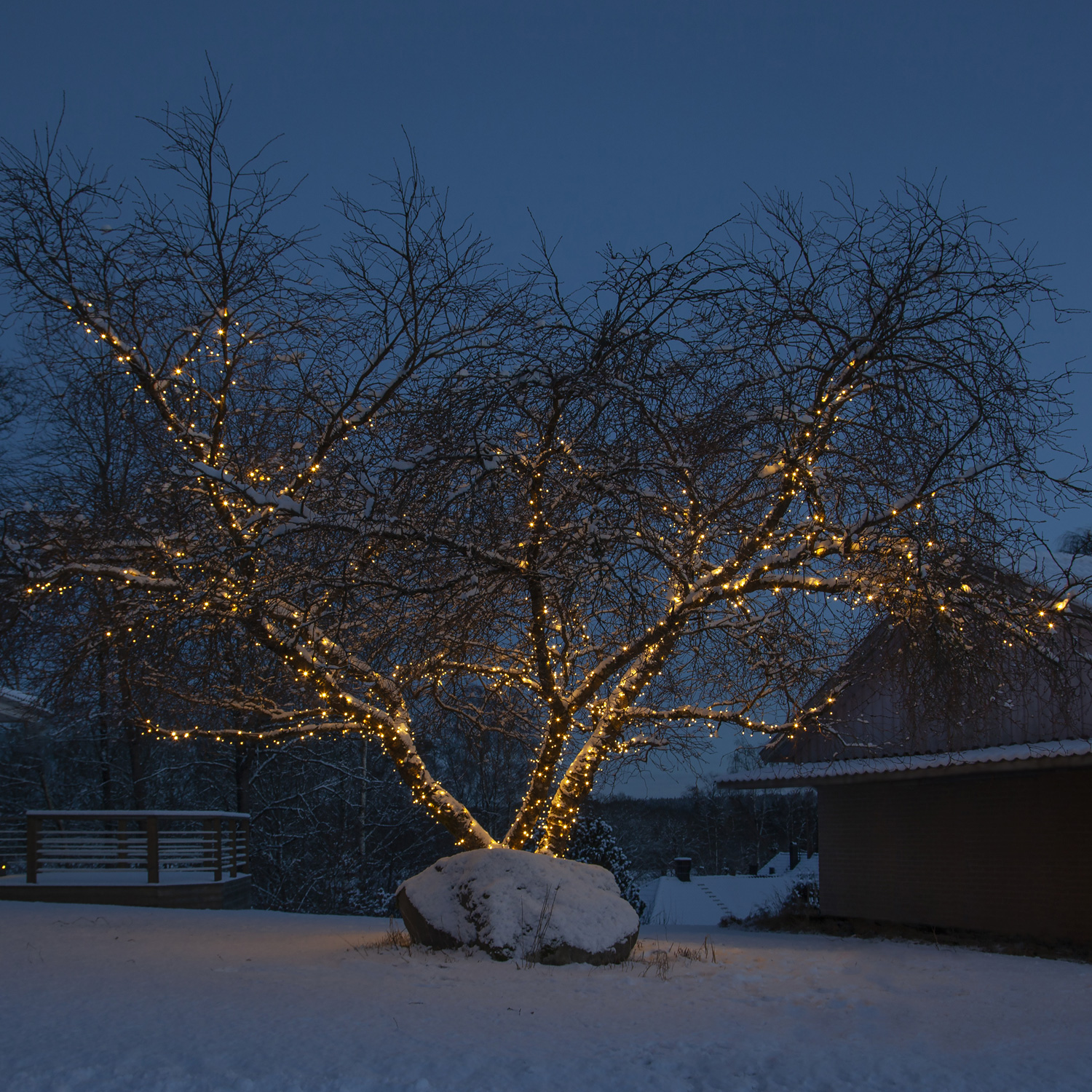 System 24 Starterset LED-Lichterkette - koppelbar - inkl. Trafo - 10.00m - 98x Warmweiß