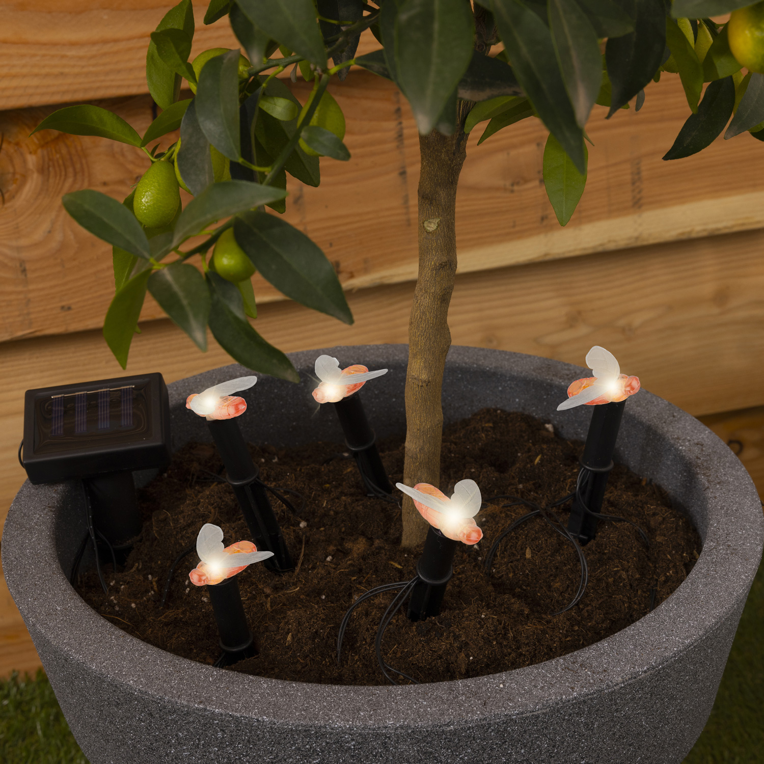 LED Solar Lichterkette Bienen - 5 warmweiße LED - L: 1,2m - H: 17cm - Lichtsensor - für Außen