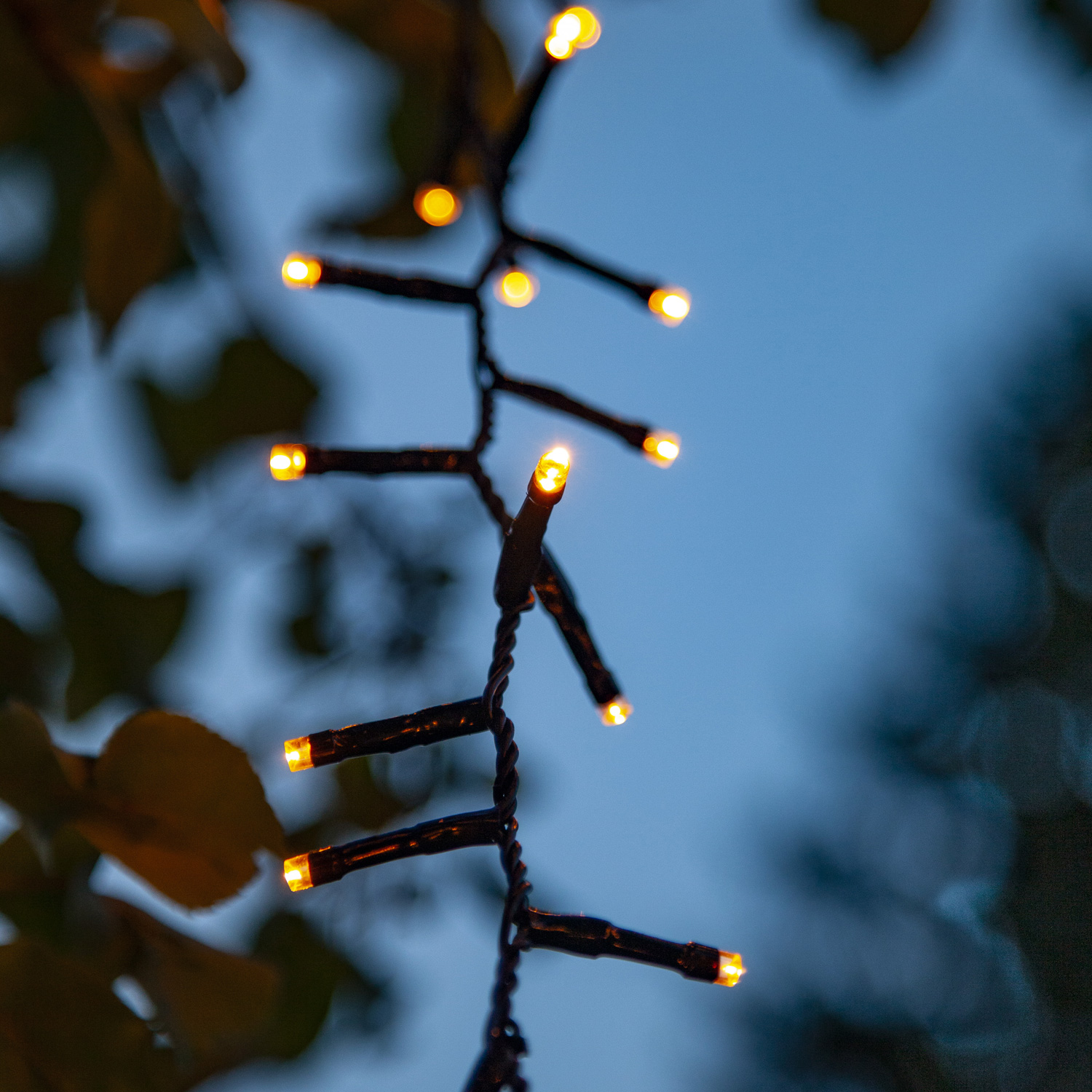 LED Lichterkette - Serie LED - outdoor - 800 ultra warmweiße LED - L: 16m - schwarzes Kabel