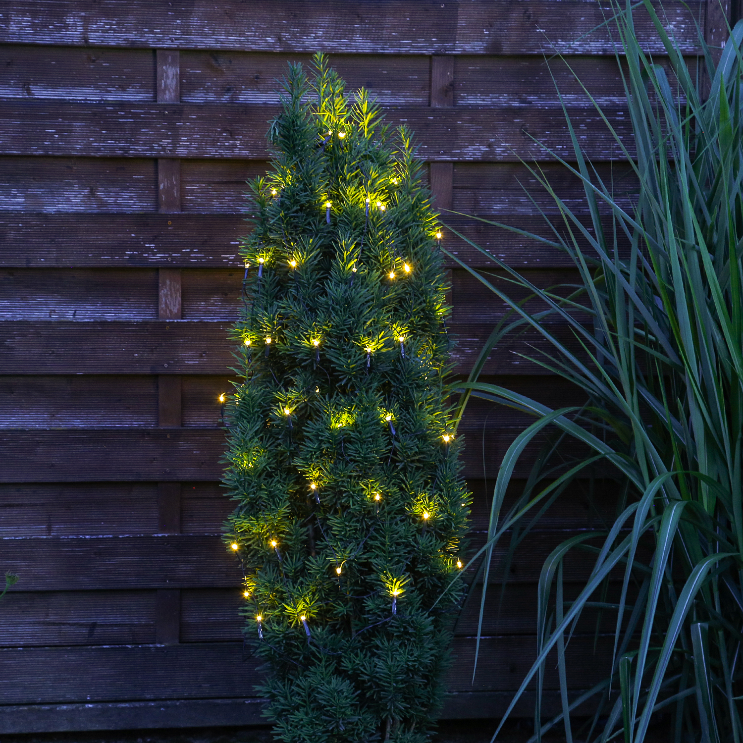 LED Lichternetz Buchsbaum - Blinkfunktion - 60 warmweiße/bernstein LED - D: 35cm - transparent LED Lichternetz Buchsbaum - Blinkfunktion - 60 warmweiße/bernstein LED - D: 35cm - transparent