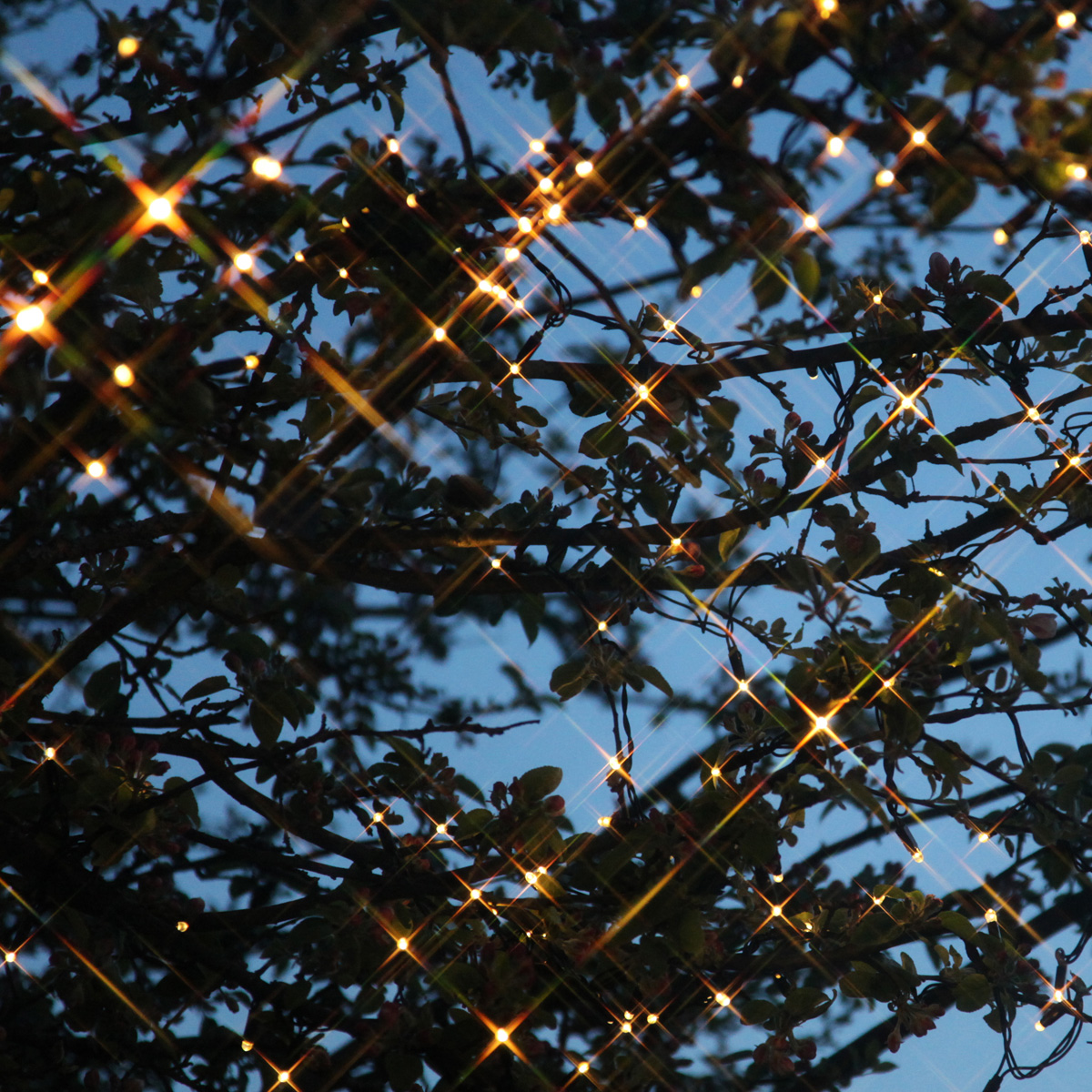 System 24 - LED Lichterkette 5m mit Glitzereffekt - koppelbar - Erweiterung - 49WW LED