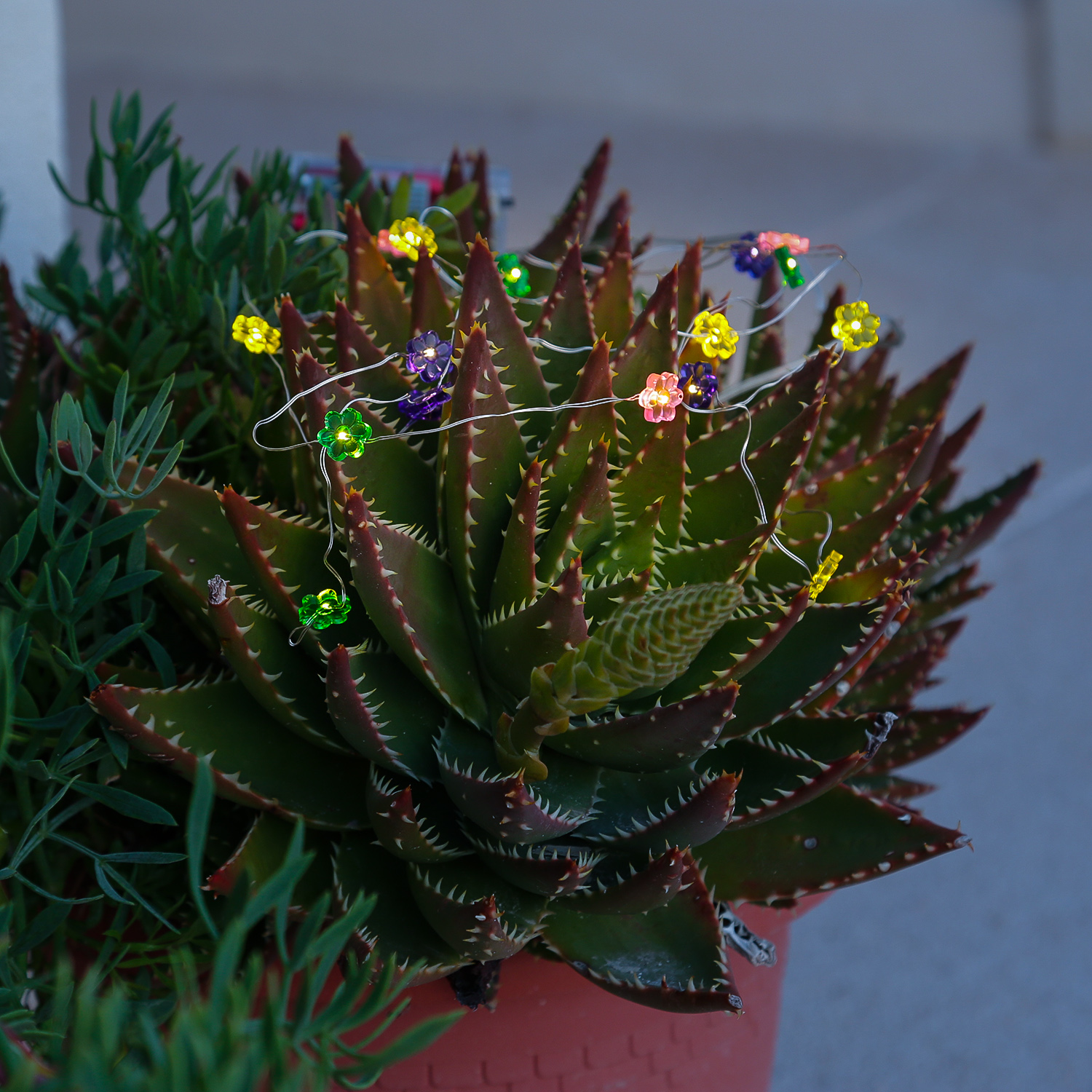 LED Drahtlichterkette Blume - 20 warmweiße LED - L: 1,9m - Batteriebetrieb - mehrfarbig