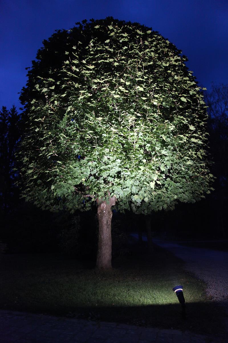 Garten-Spot-Leuchtmittel Neutralweiß | LED | Uplight | E27 | PAR38 | 15W | 35 Grad