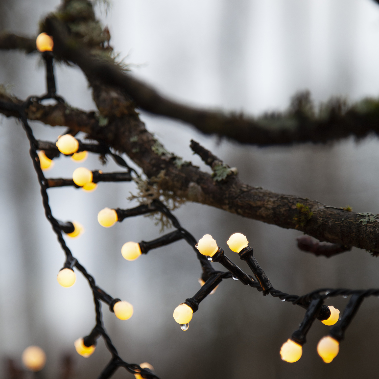LED Party Lichterkette Berry Mini 300 warmweiße LED - L:6m - 8 Funktionen - Trafo - Timer - outdoor