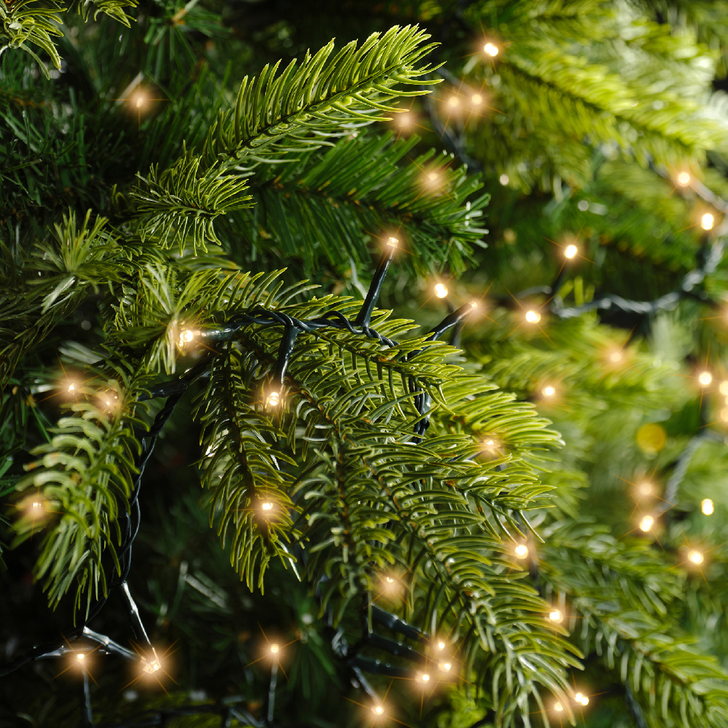 LED Lichterkette - Weihnachtslichterkette - 3000 bernstein LED - L: 60m - Dimmer - Timer - für Außen