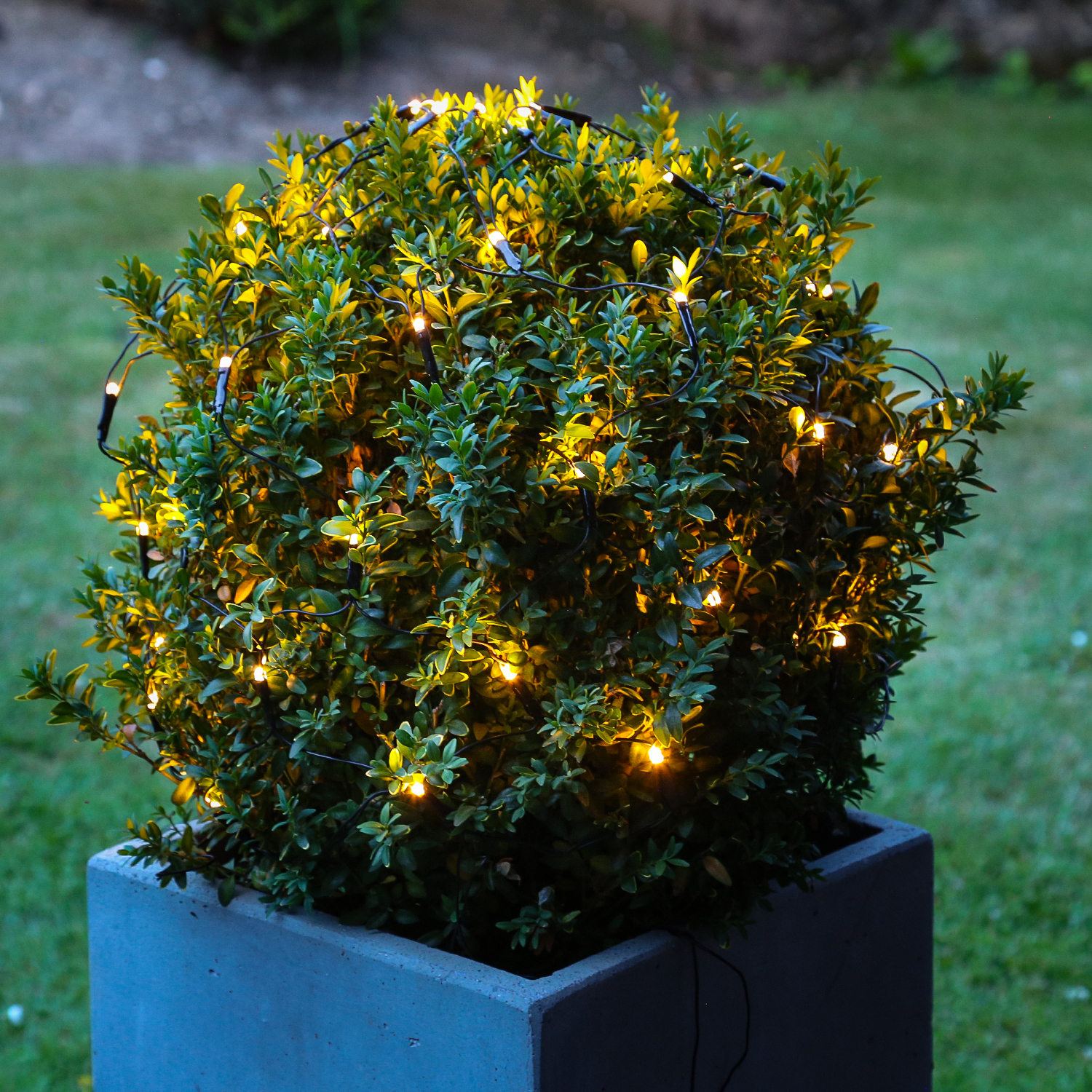 LED Lichternetz für Buchsbaum - Kugelnetz - 60 warmweiße LED - 24V Außentrafo - D: 35cm - grün