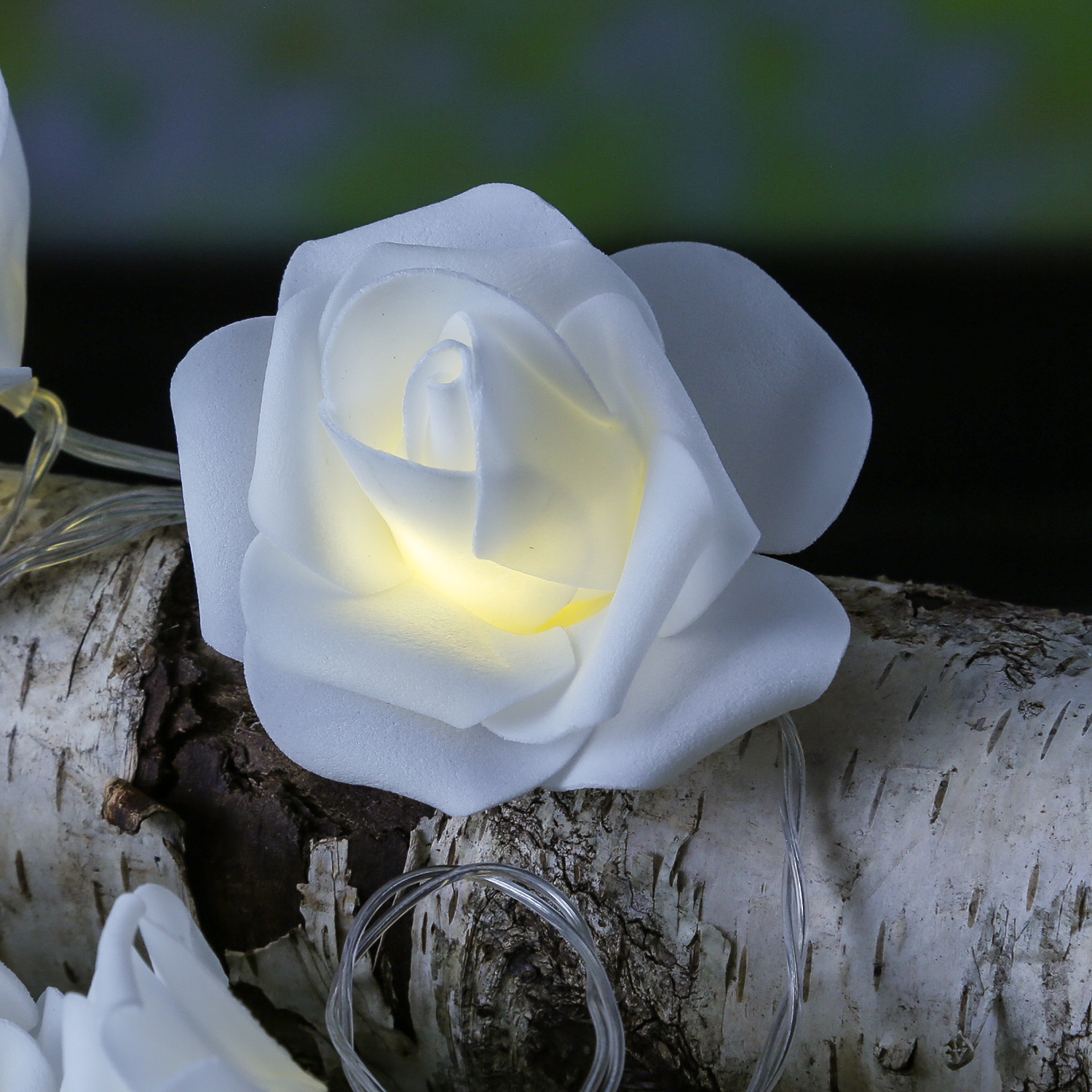 LED Lichterkette Rosen - 10 leuchtende Rosen - Timer - Batteriebetrieb - L: 1,8m - für Innen - weiß LED Lichterkette Rosen - 10 leuchtende Rosen - Timer - Batteriebetrieb - L: 1,8m - für Innen - weiß