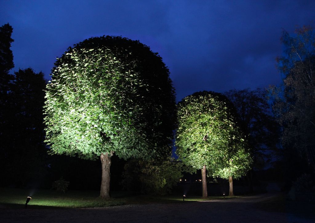 Garten-Spot-Leuchtmittel Neutralweiß | LED | Uplight | E27 | PAR38 | 15W | 35 Grad