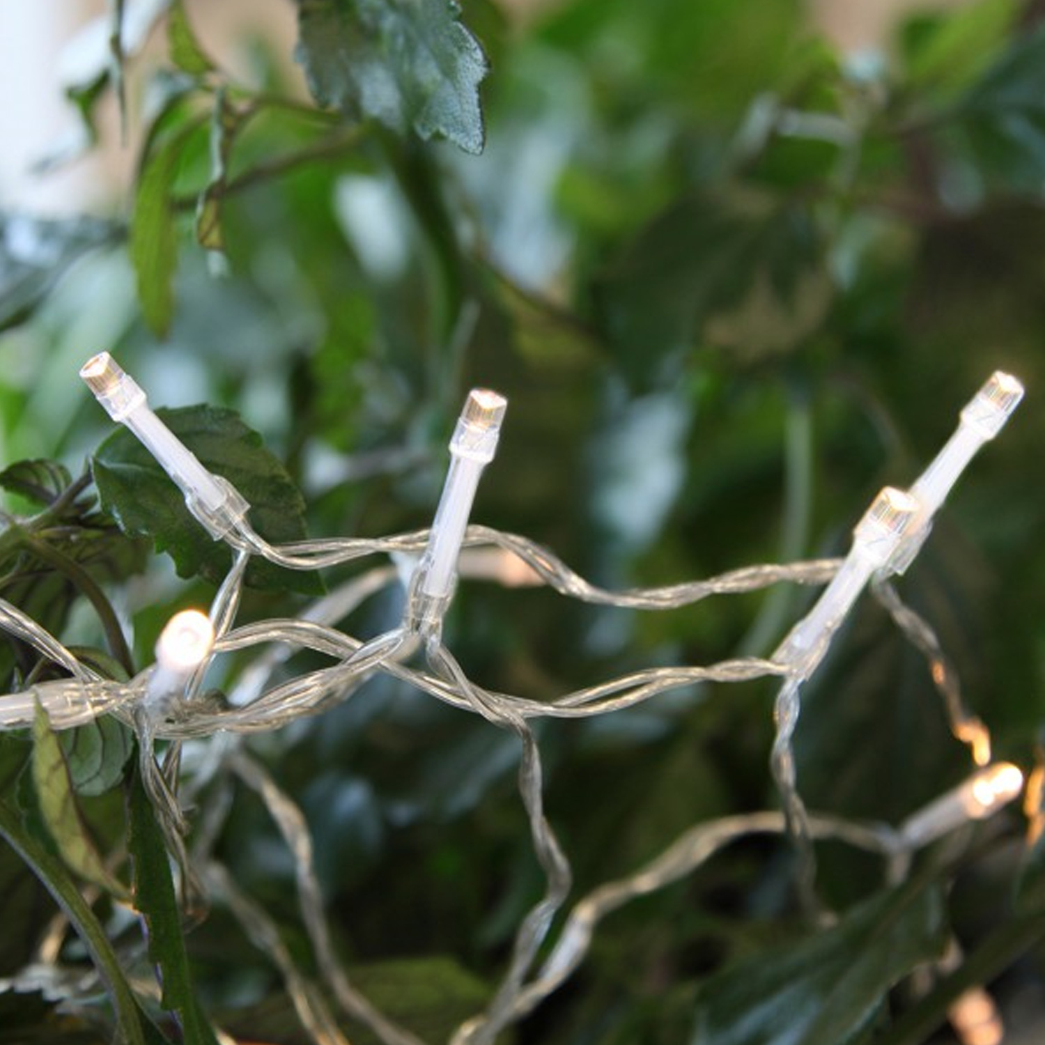 LED-Lichterkette | BATT | Outdoor | Batterie | Transparentes Kabel | 50 warmweiße LED | 7,5m | TIMER