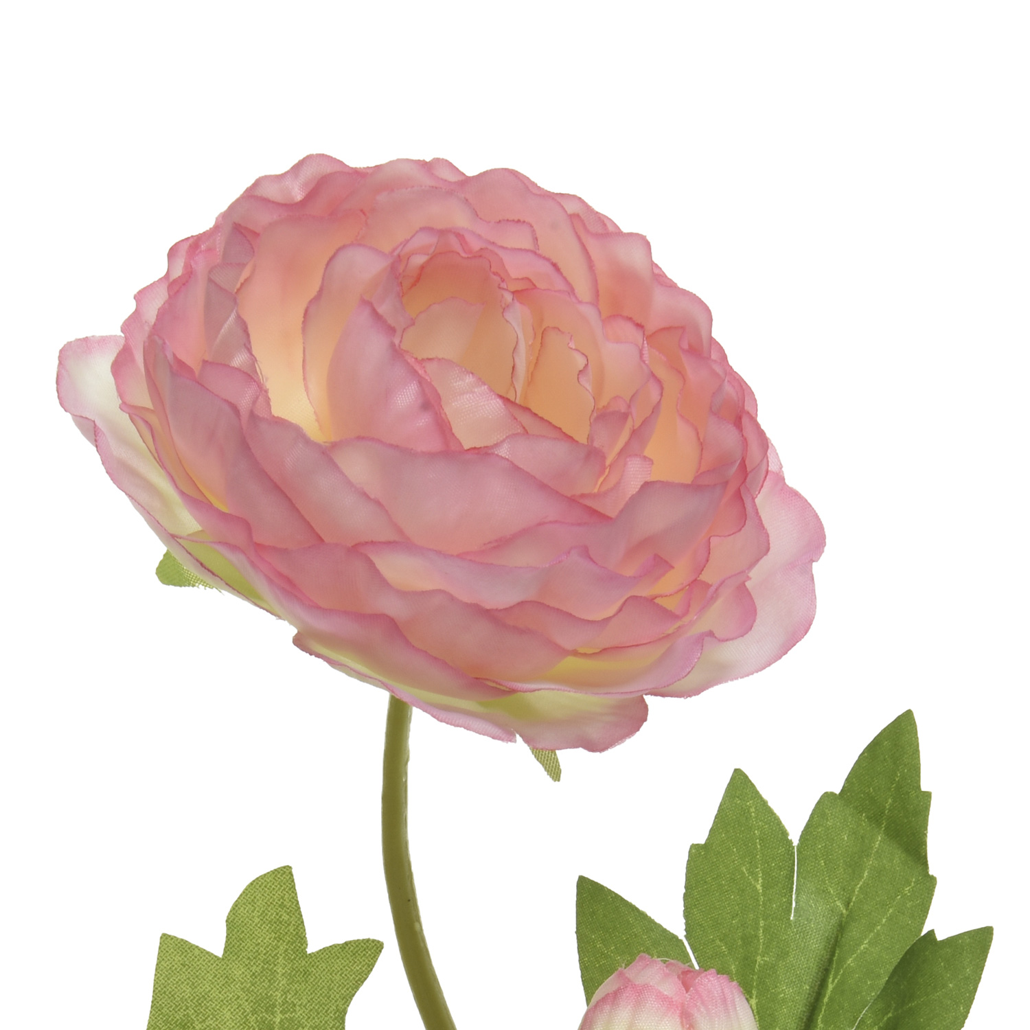Ranunkel mit Blüte und Knospe am Stiel - Kunstblume - H: 57cm - rosa