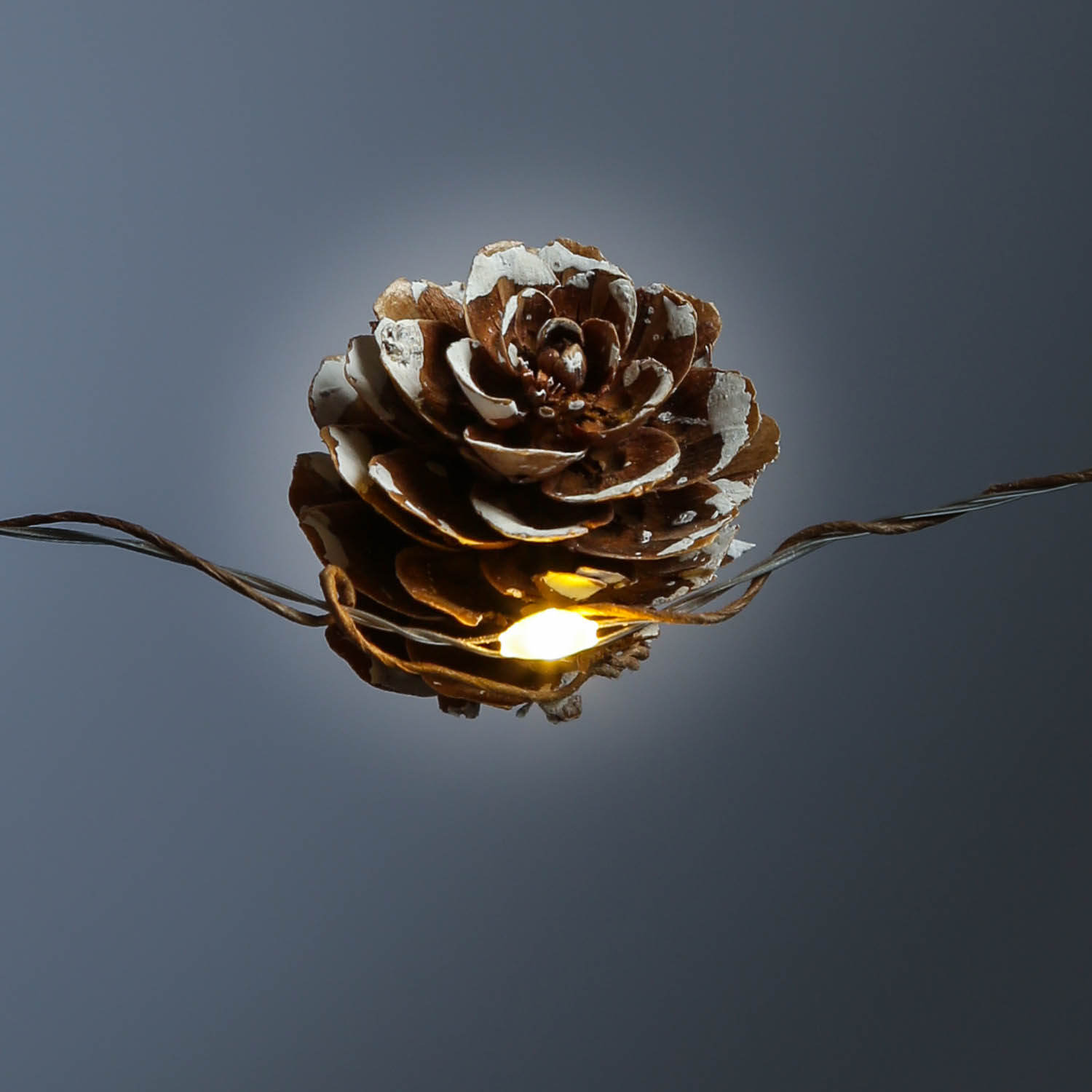 LED Lichterkette Tannenzapfen - 20 warmweiße LED - L: 1,9m - Timer - Batteriebetrieb