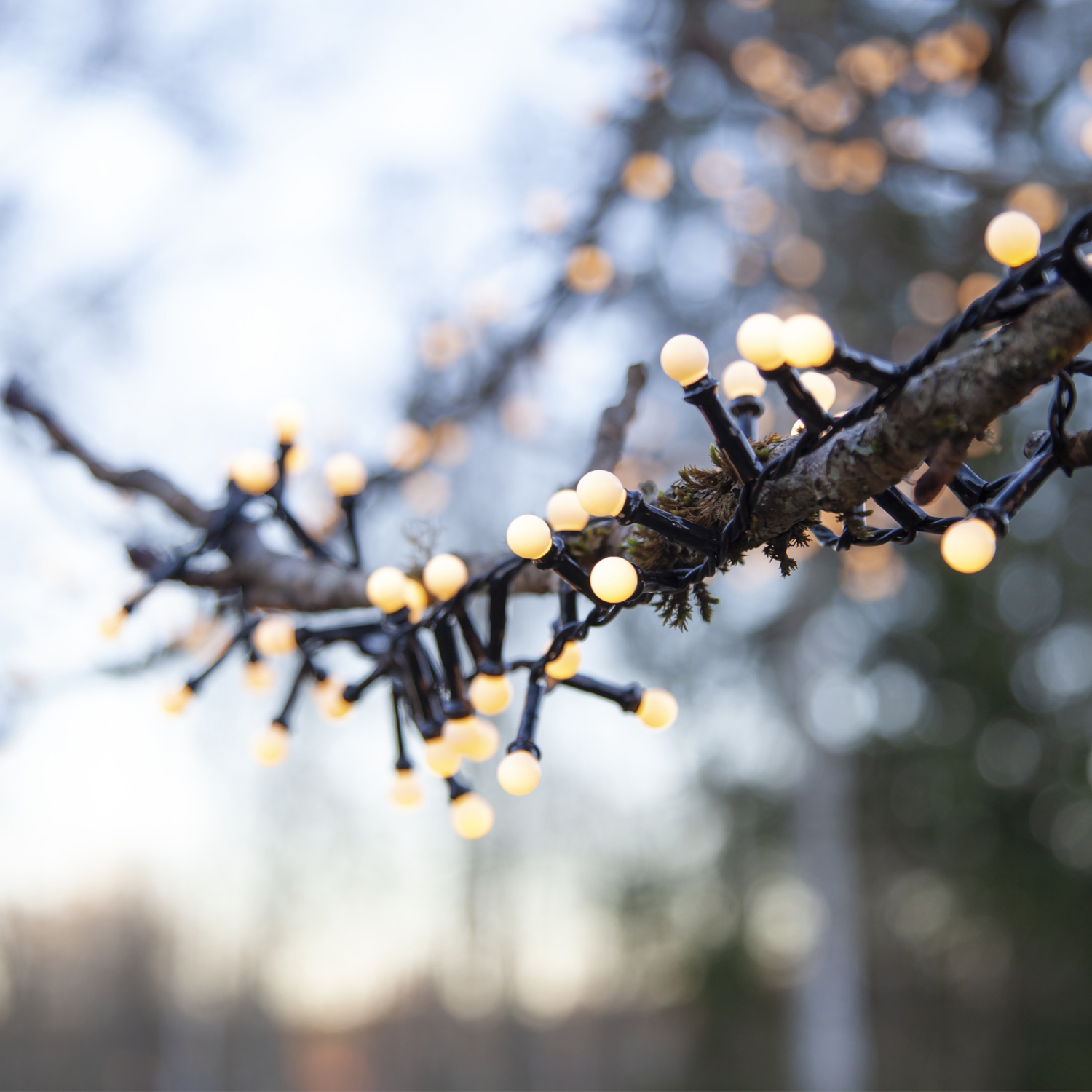 LED Lichterkette Berry Mini - 700 warmweiße opale LED - 14m - 8 Funktionen - Trafo - Timer - outdoor