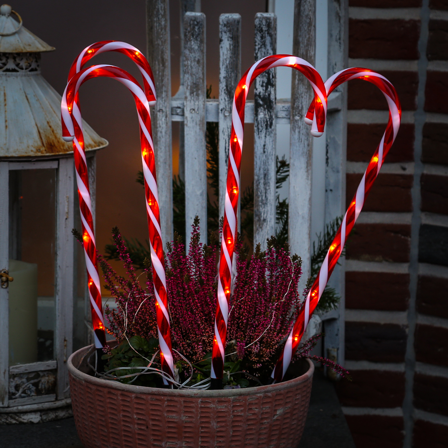 LED Zuckerstangen - je 30 kaltweiße LED - H: 61cm - Timer - inkl. Trafo - für Außen