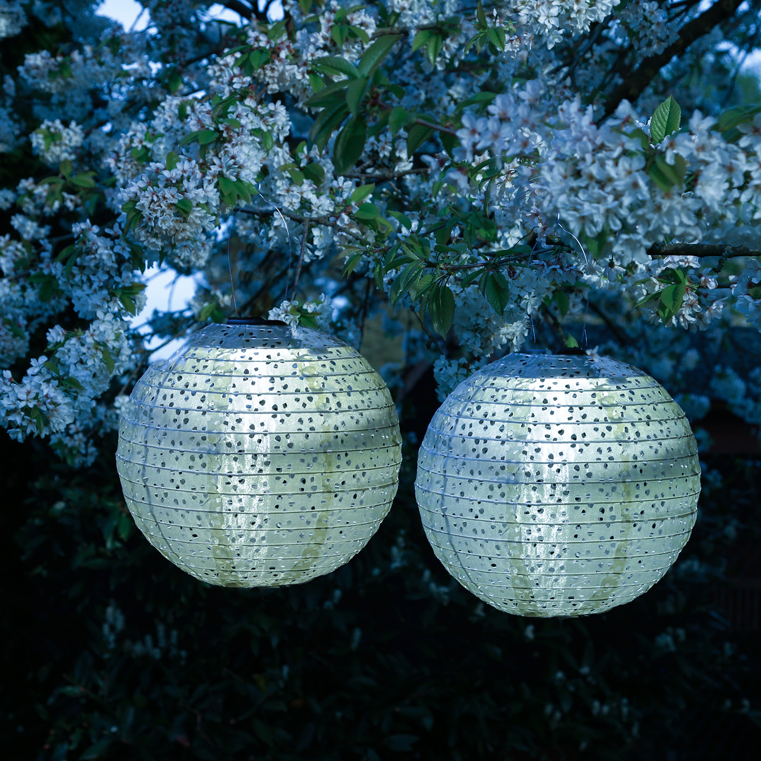 LED Solar Lampions - mit Blumenmuster - warmweiße LED - D: 25cm - Lichtsensor - blau - 2 Stück