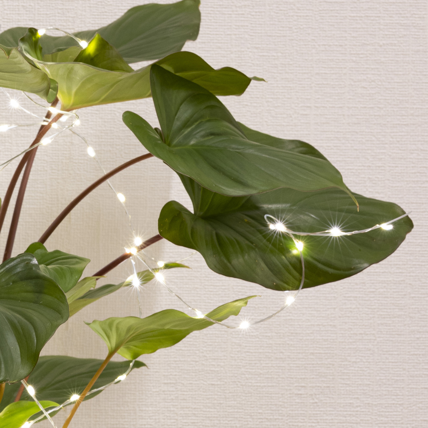 LED Draht Lichtbündel - Pflanzenbeleuchtung - 40 warmweiße LED - L: 40cm - Timer - Batterie - silber