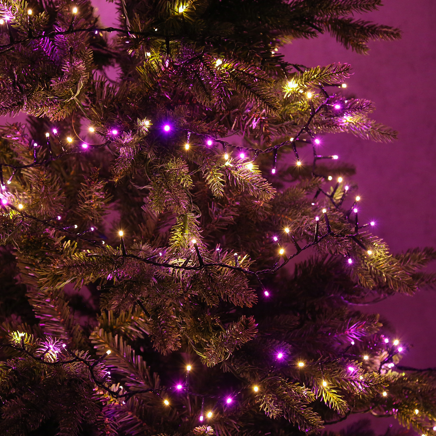 LED Lichterkette Compact Twinkle - 750 pink-/bernstein LED - L: 16m - 8 Funktionen - Timer - Trafo