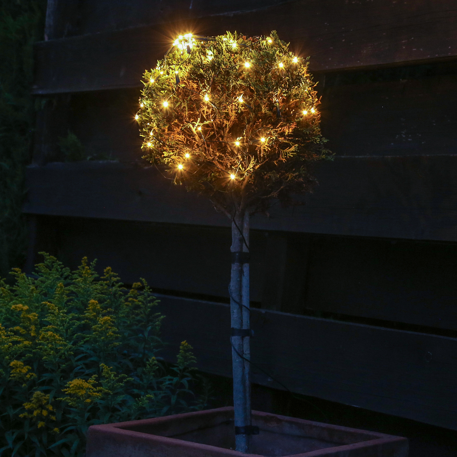 LED Lichternetz für Buchsbaum - Kugelnetz - 60 warmweiße LED - 24V Außentrafo - D: 35cm - grün