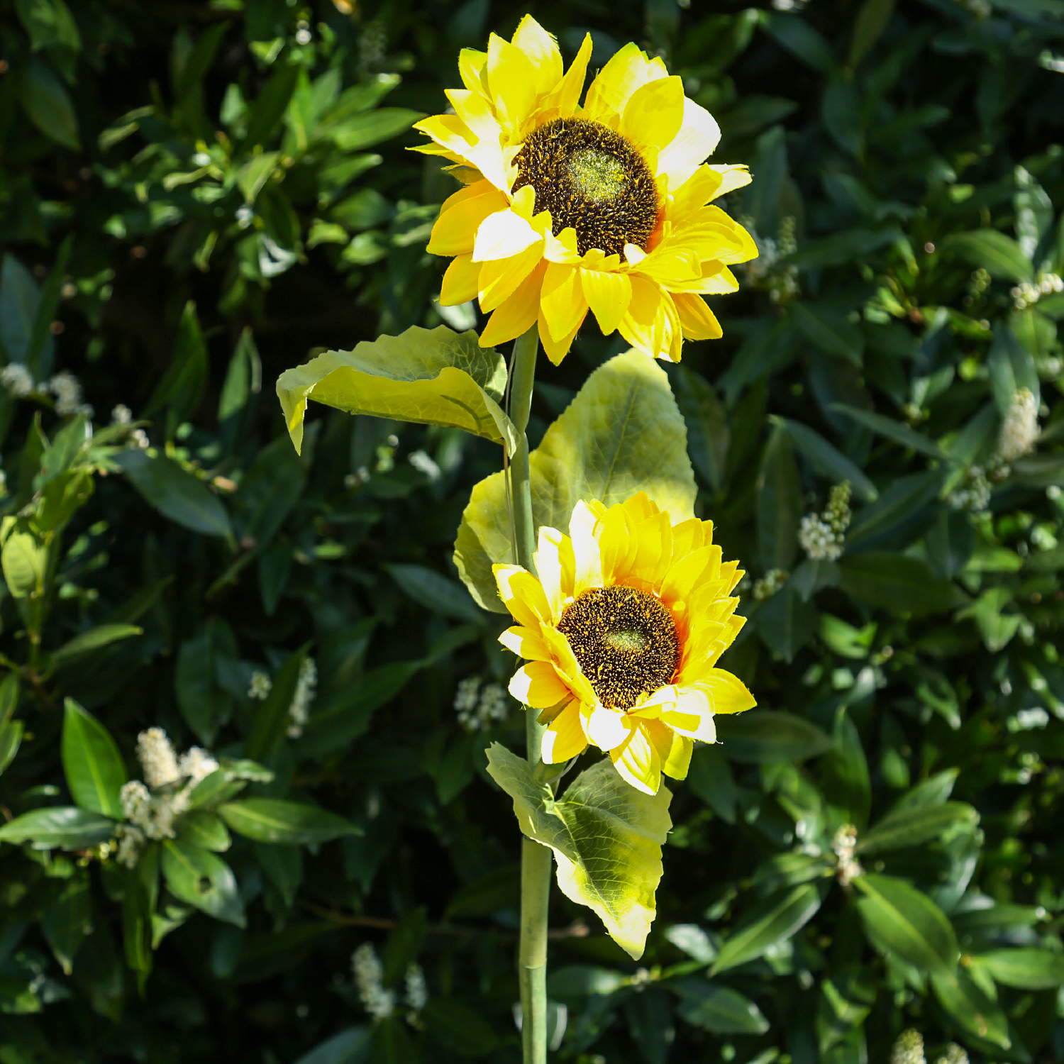 LED Solar Gartenstecker SONNENBLUME - H: 1,25m - Lichtsensor - grün/gelb