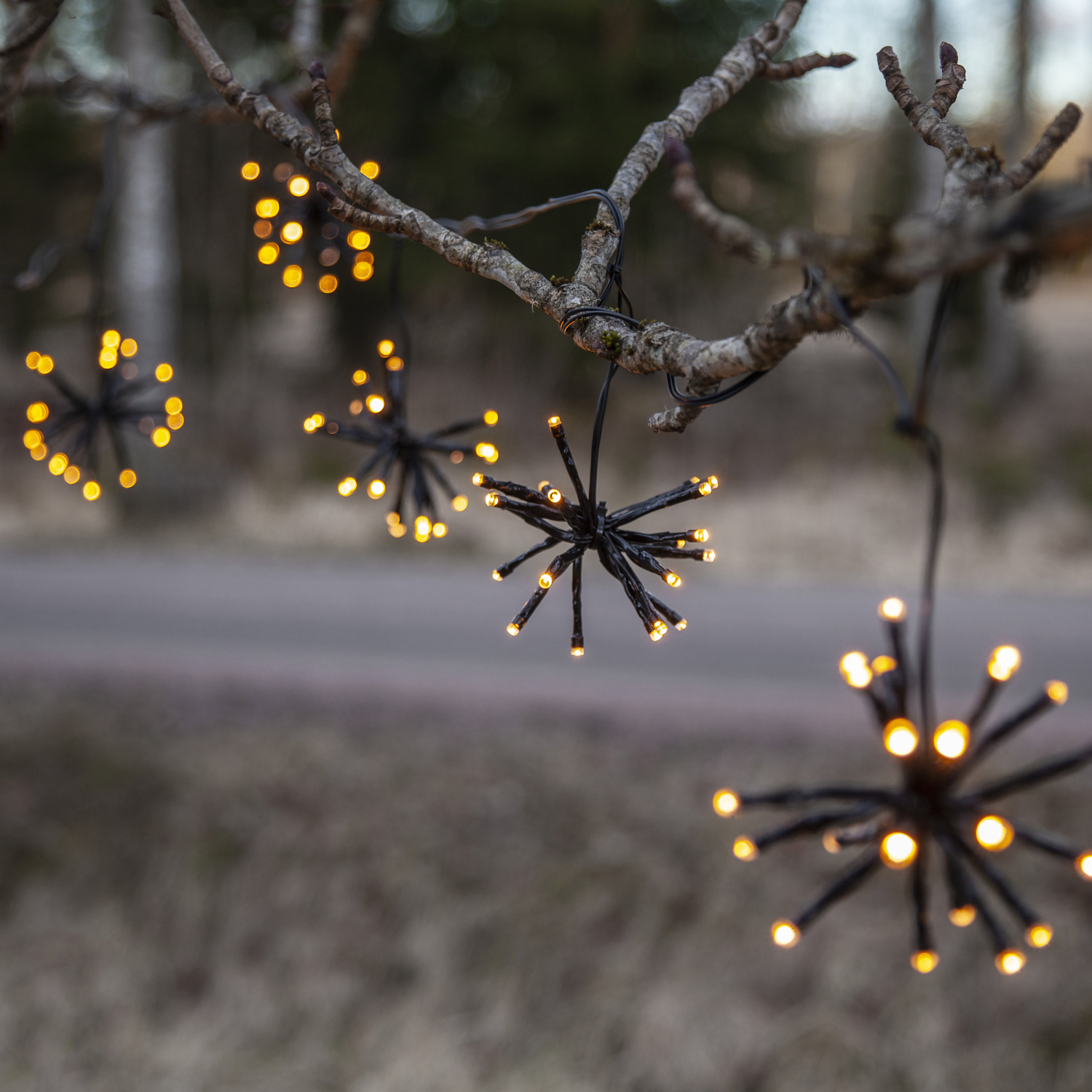 LED Lichterkette Feuerwerk - 200 bernsteinfarbene LED - 10 Cluster - L: 4m - Trafo - Außen - schwarz