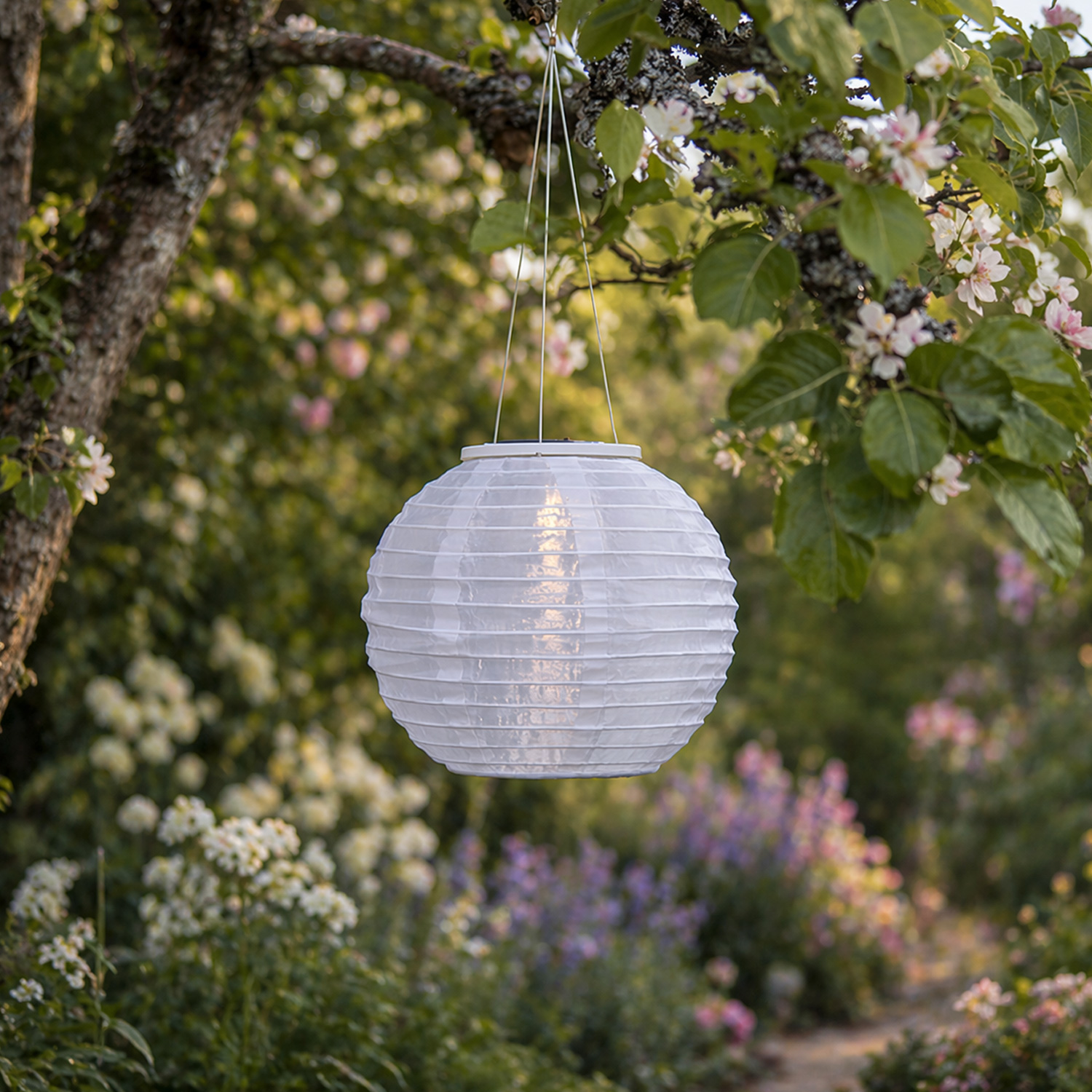 LED Solar Lampions - warmweiße LED - H: 21cm - D: 25cm - Lichtsensor - weiß - 2er Set