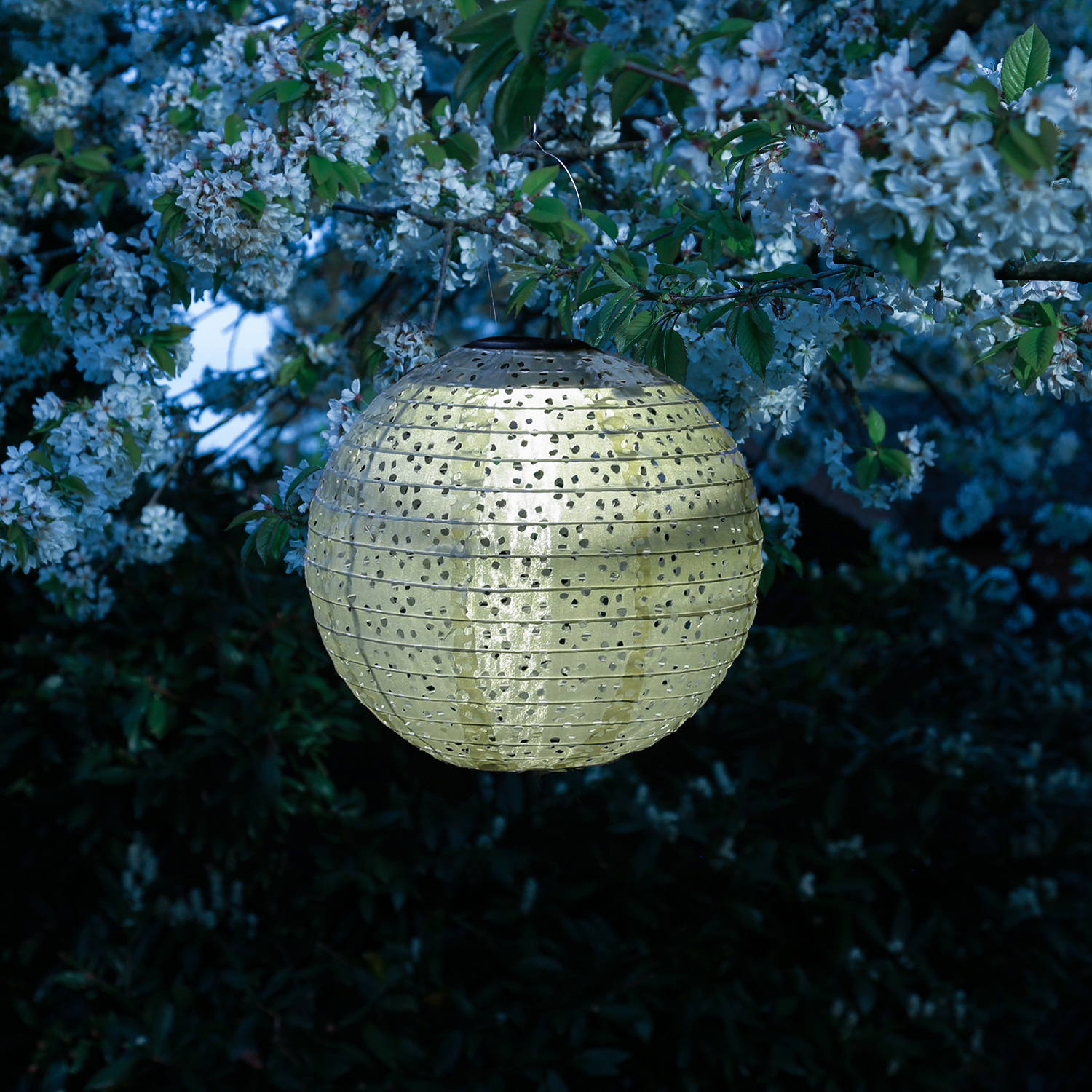LED Solar Lampions - mit Blumenmuster - warmweiß - H: 25cm/40cm - Lichtsensor - grün - 2 Stück