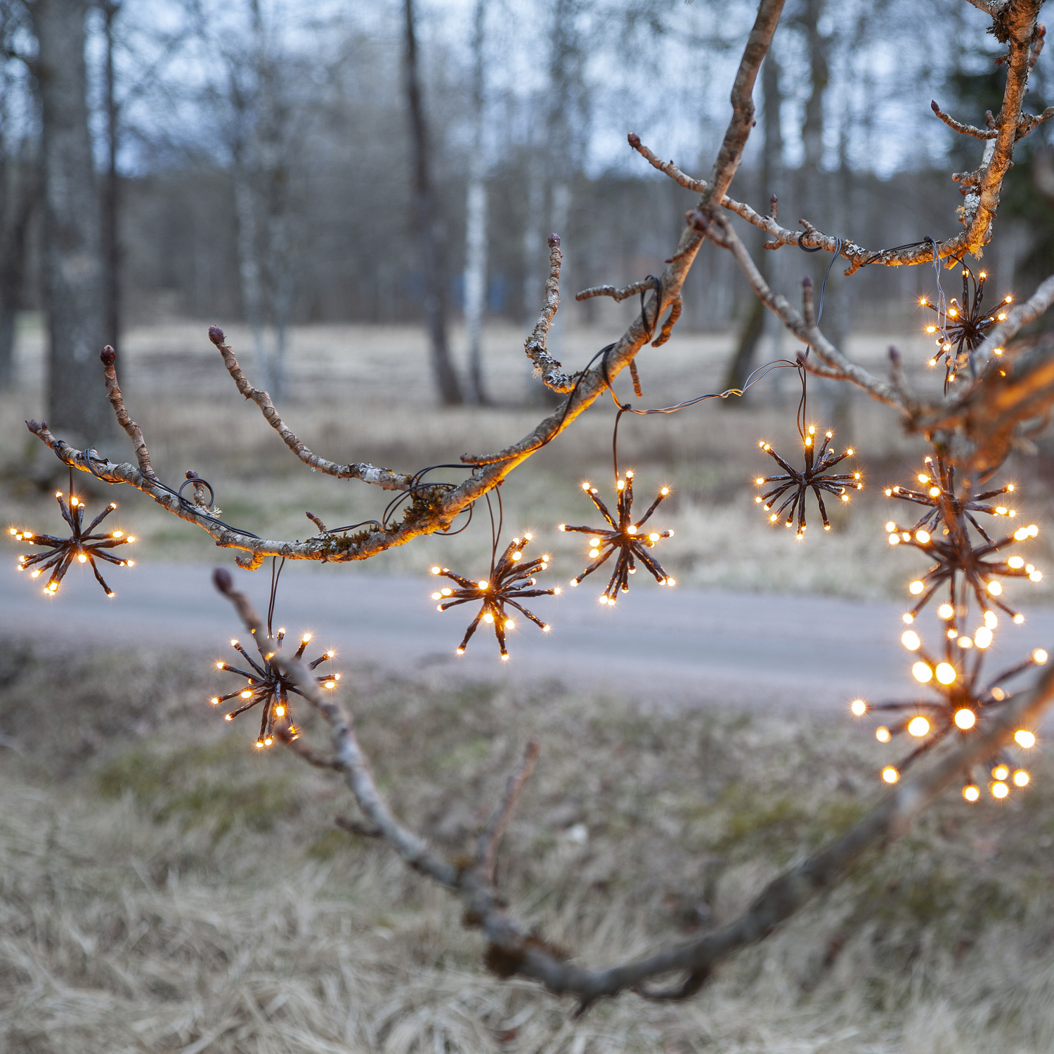 LED Lichterkette Feuerwerk - 200 bernsteinfarbene LED - 10 Cluster - L: 4m - Trafo - Außen - schwarz