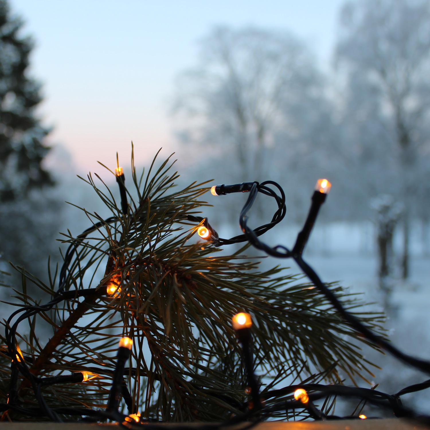 B-Ware LED Lichterkette - GOLDEN LED Serie - 180 ultra warmweiße LED - L: 12,6m - schwarzes Kabel - f.Außen