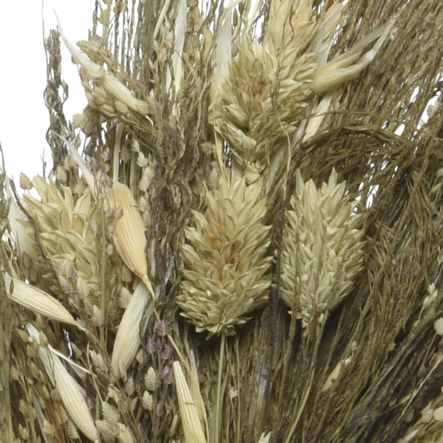 Trockenblumenkranz - Dekokranz - D: 40cm - beige/natur