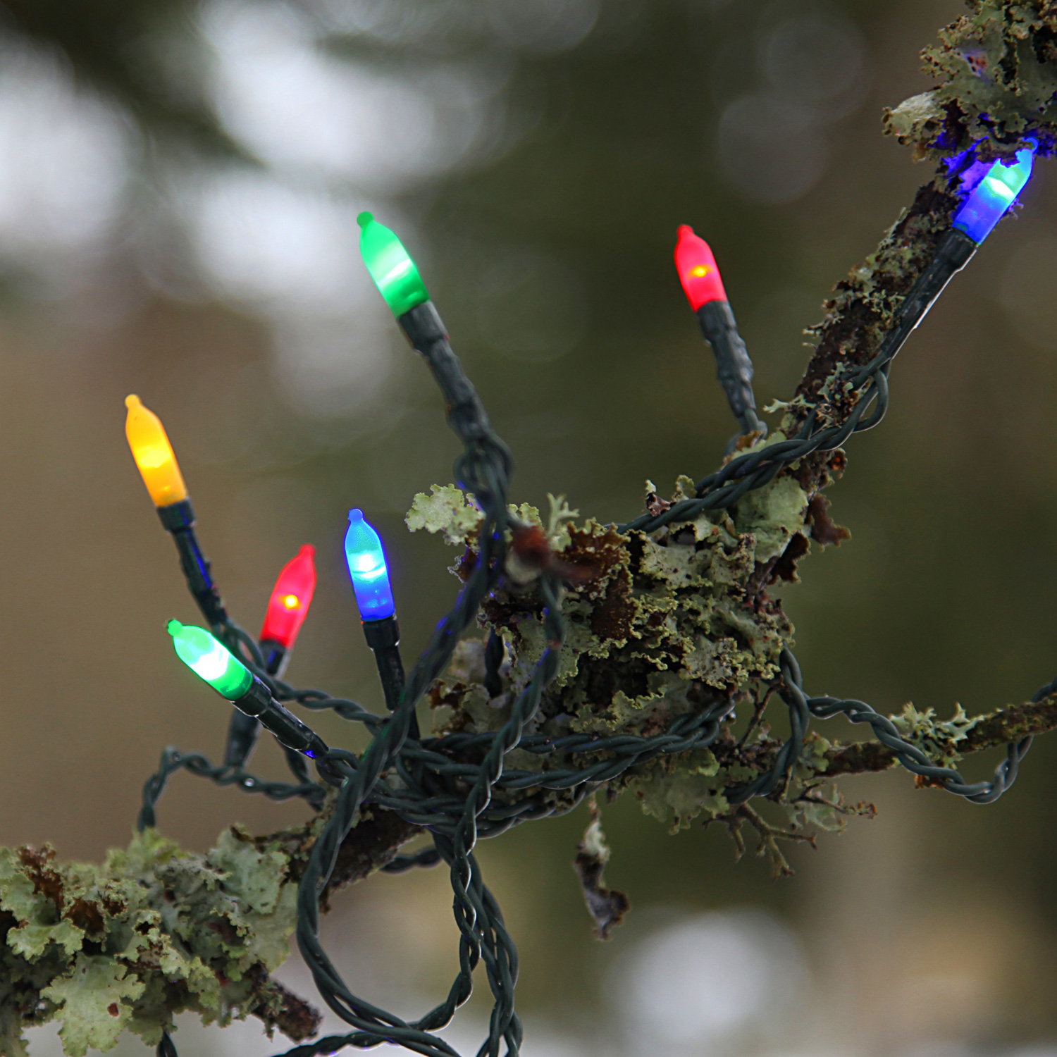 LED-Lichterkette - Garden Line Outdoor - 31,80m - 160x Bunt - Grün