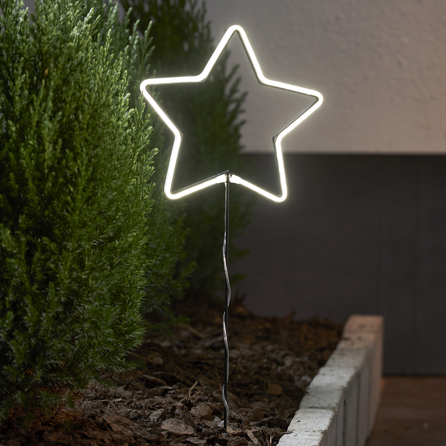Sterne stehend