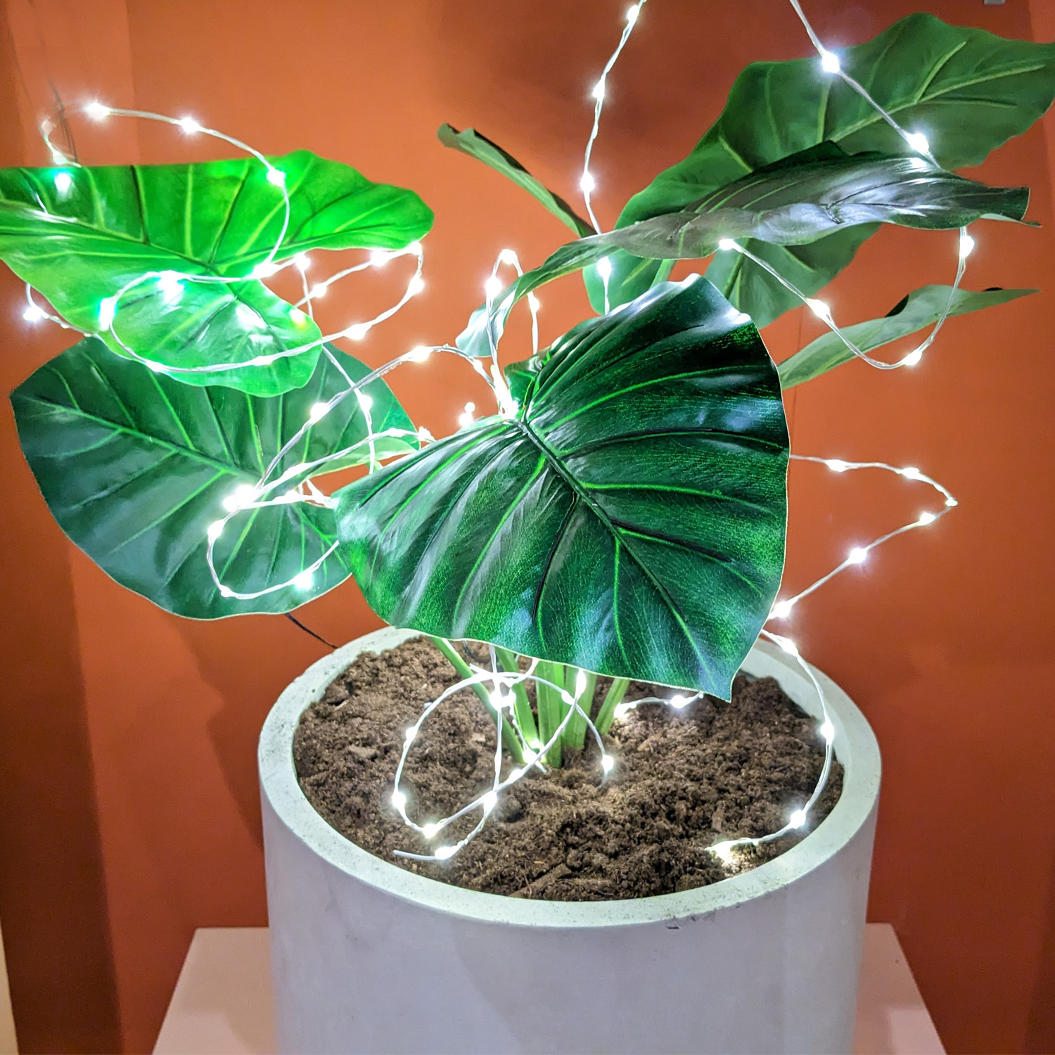 LED Draht Lichtbündel - Pflanzenbeleuchtung - 40 warmweiße LED - L: 40cm - Timer - Batterie - silber