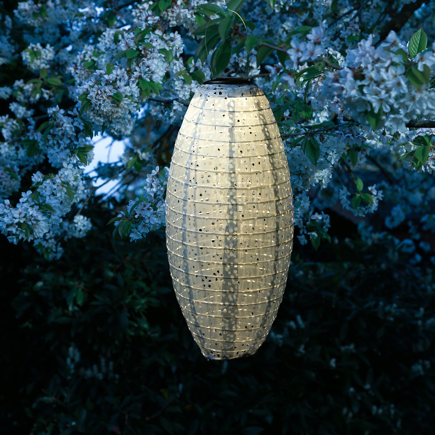 LED Solar Lampion oval - mit Blumenmuster - warmweiße LED - H: 40cm - D: 20cm - Lichtsensor - blau