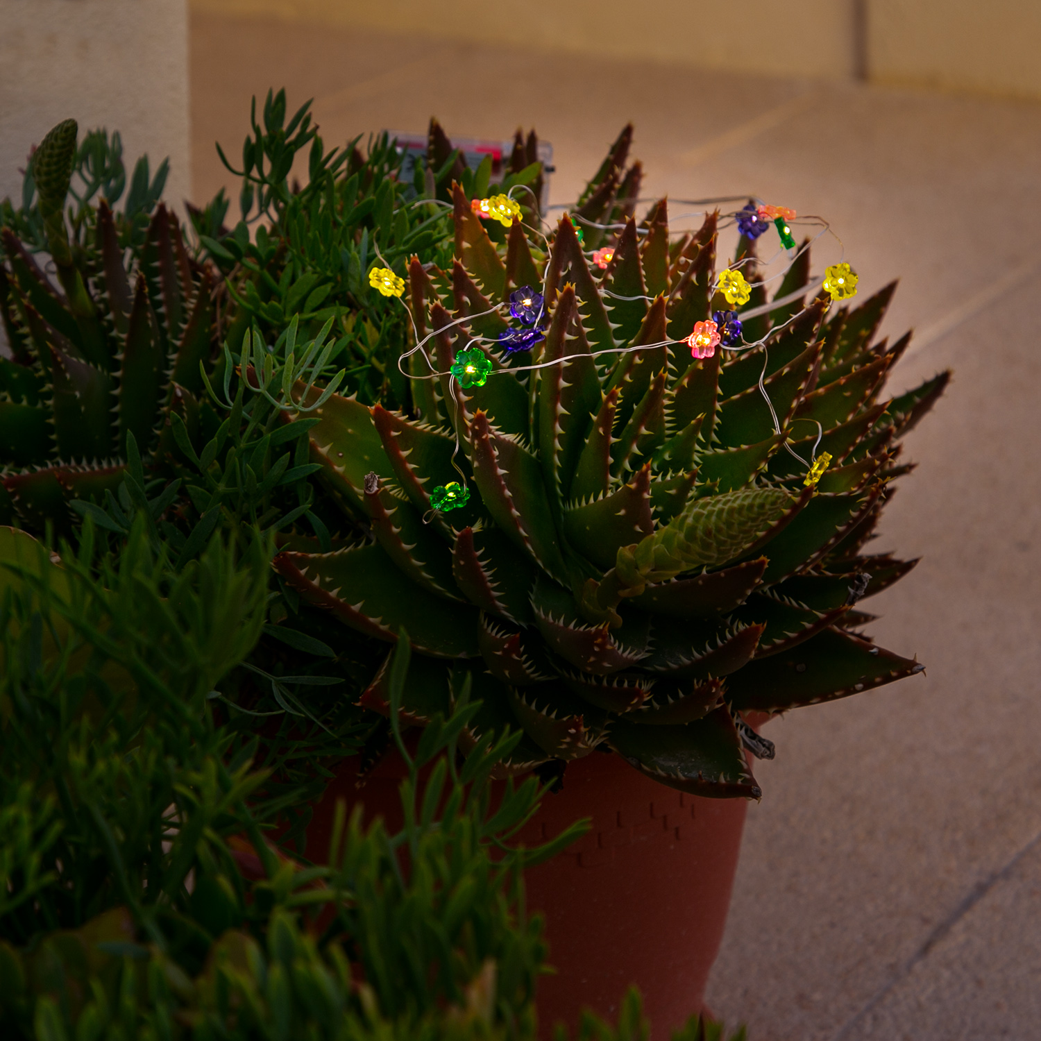 LED Drahtlichterkette Blume - 20 warmweiße LED - L: 1,9m - Batteriebetrieb - mehrfarbig