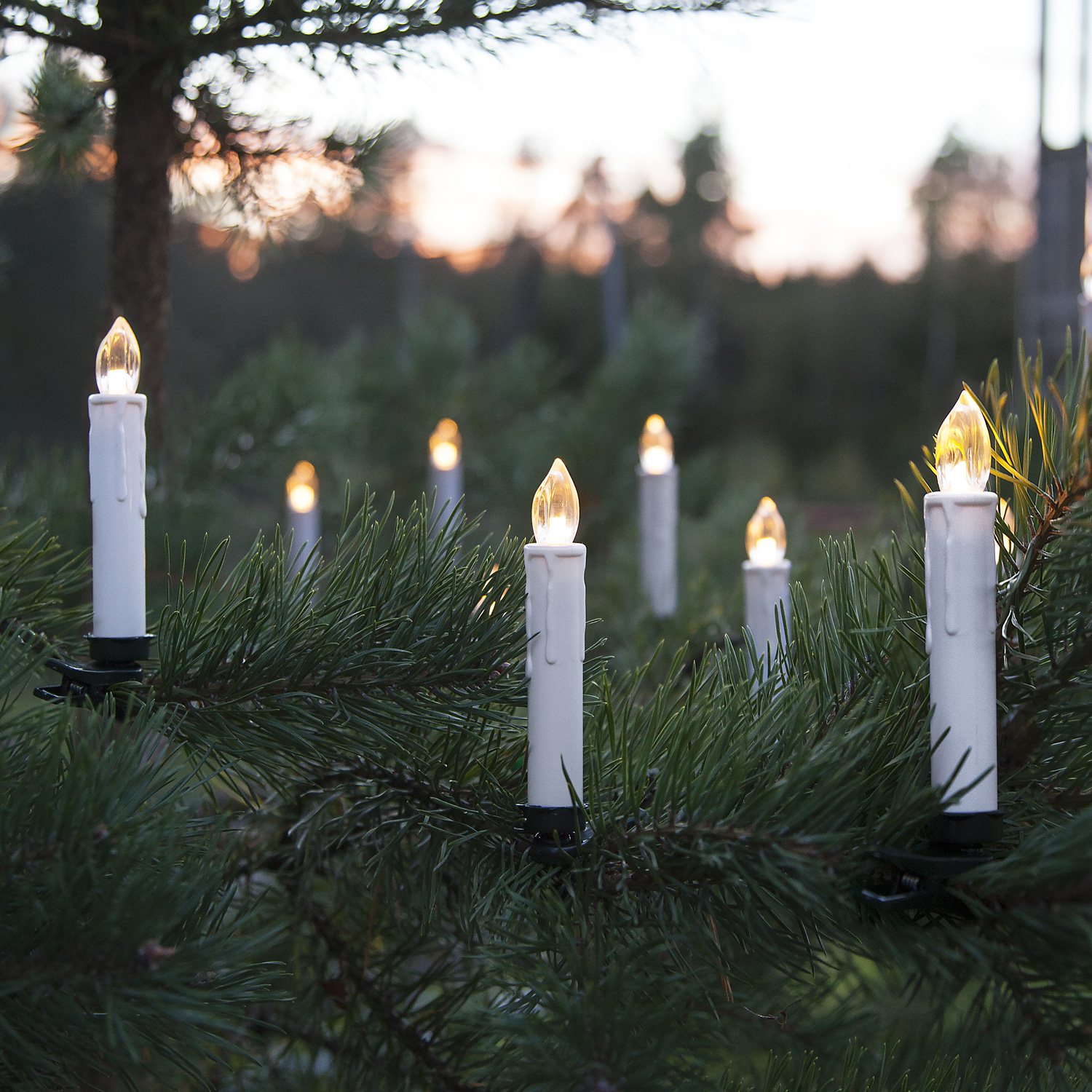 Kerzen Lichterketten
