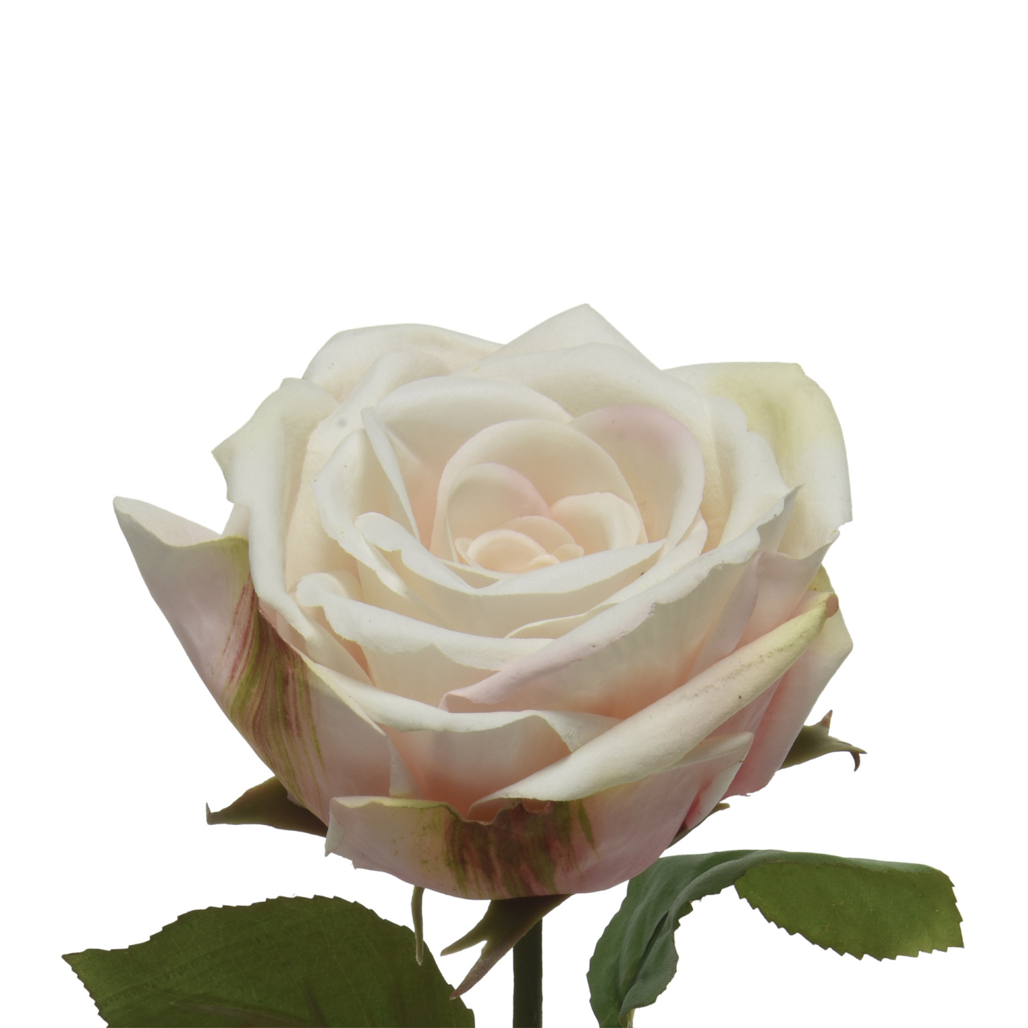 Rose am Stiel - Kunstblume - Real Touch Oberfläche - H: 68cm - creme