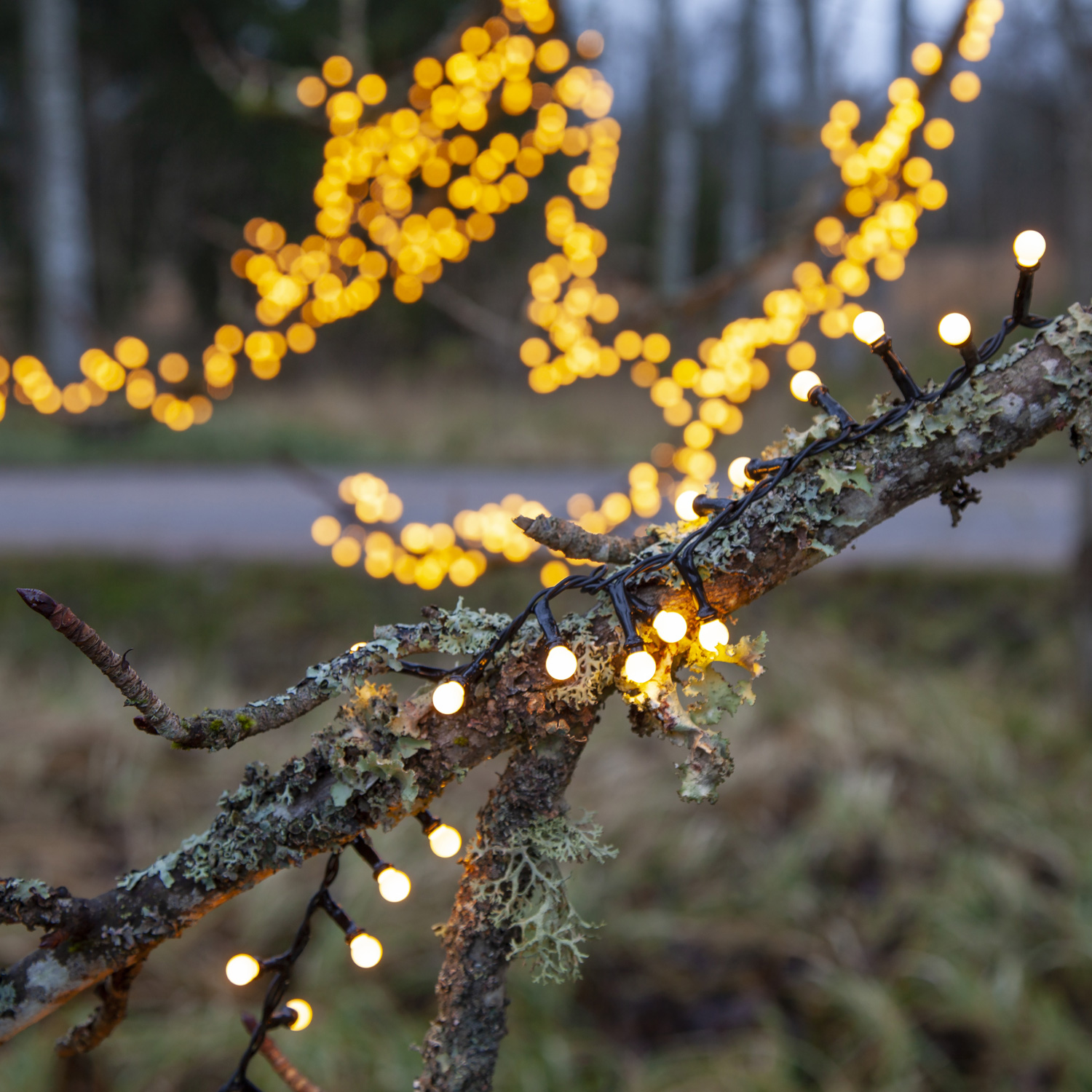 LED Lichterkette Berry Mini - 700 warmweiße opale LED - 14m - 8 Funktionen - Trafo - Timer - outdoor