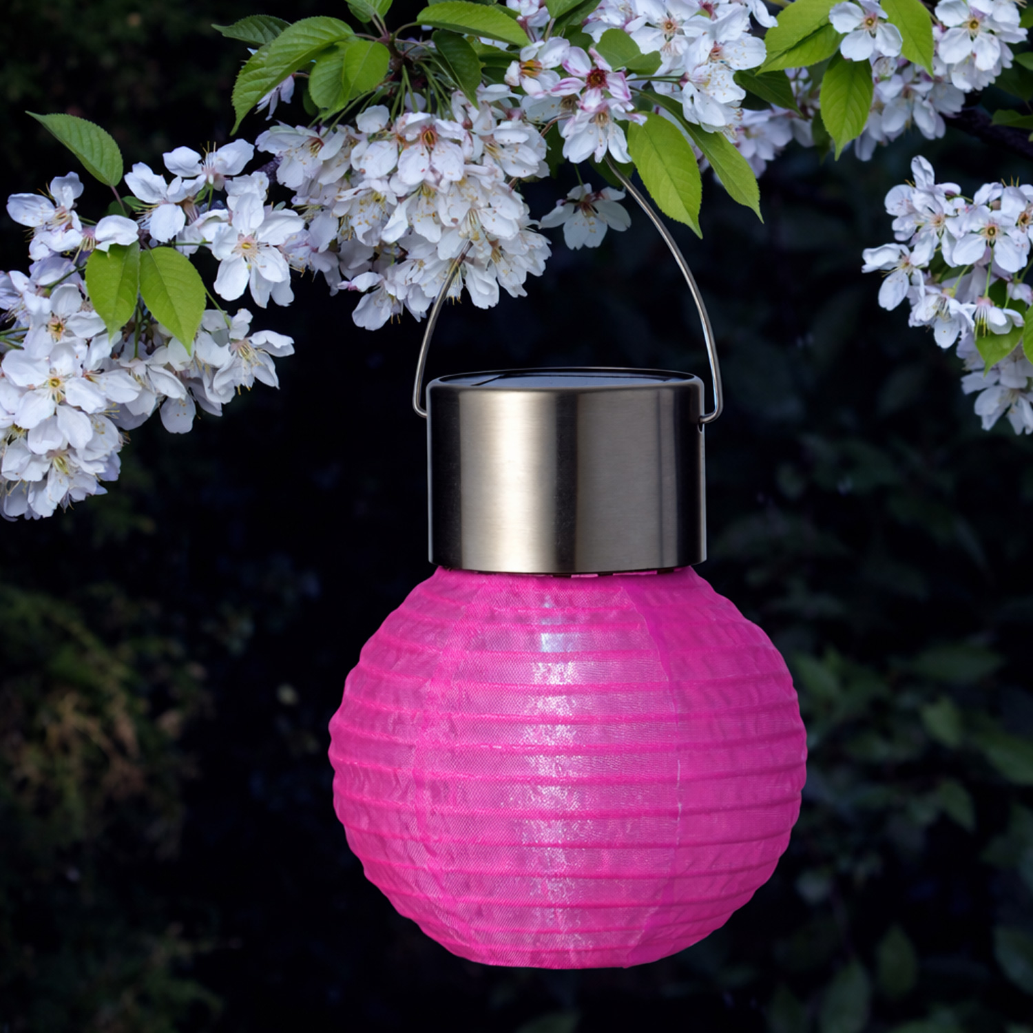 LED Solar Mini Lampion - kaltweiße LED - H: 9,5cm - D: 7cm - Lichtsensor - pink