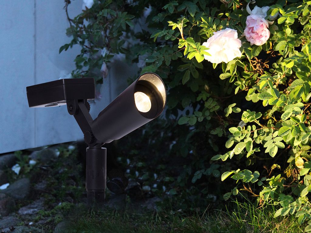 LED Gartenspieß mit Solarfeld - 2er Set - Dämmerungssensor