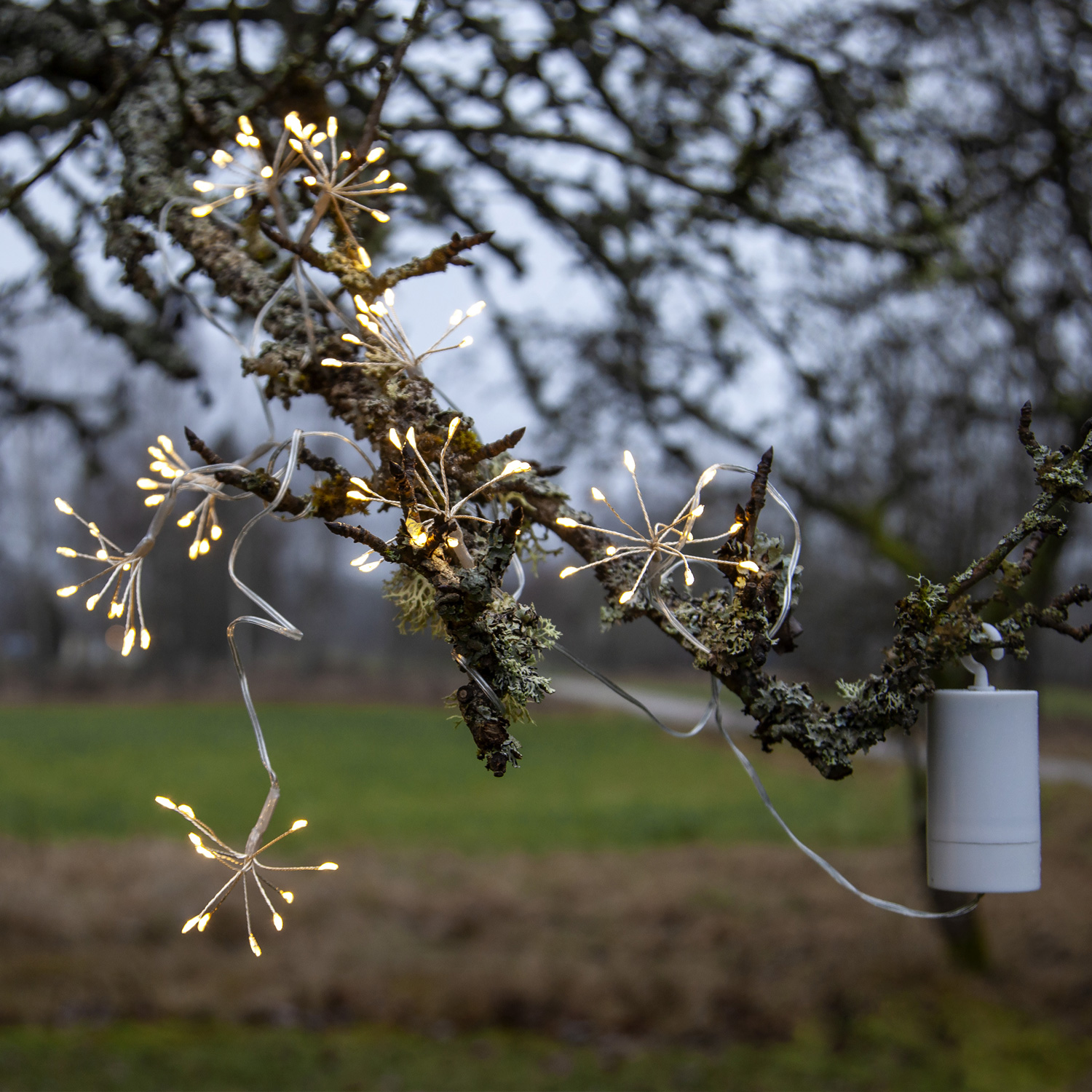 LED Lichterkette Dew Drop Blume - 96 Tautropfen LED - 8 Blüten - L: 2,1m - Timer - Batterie - Außen