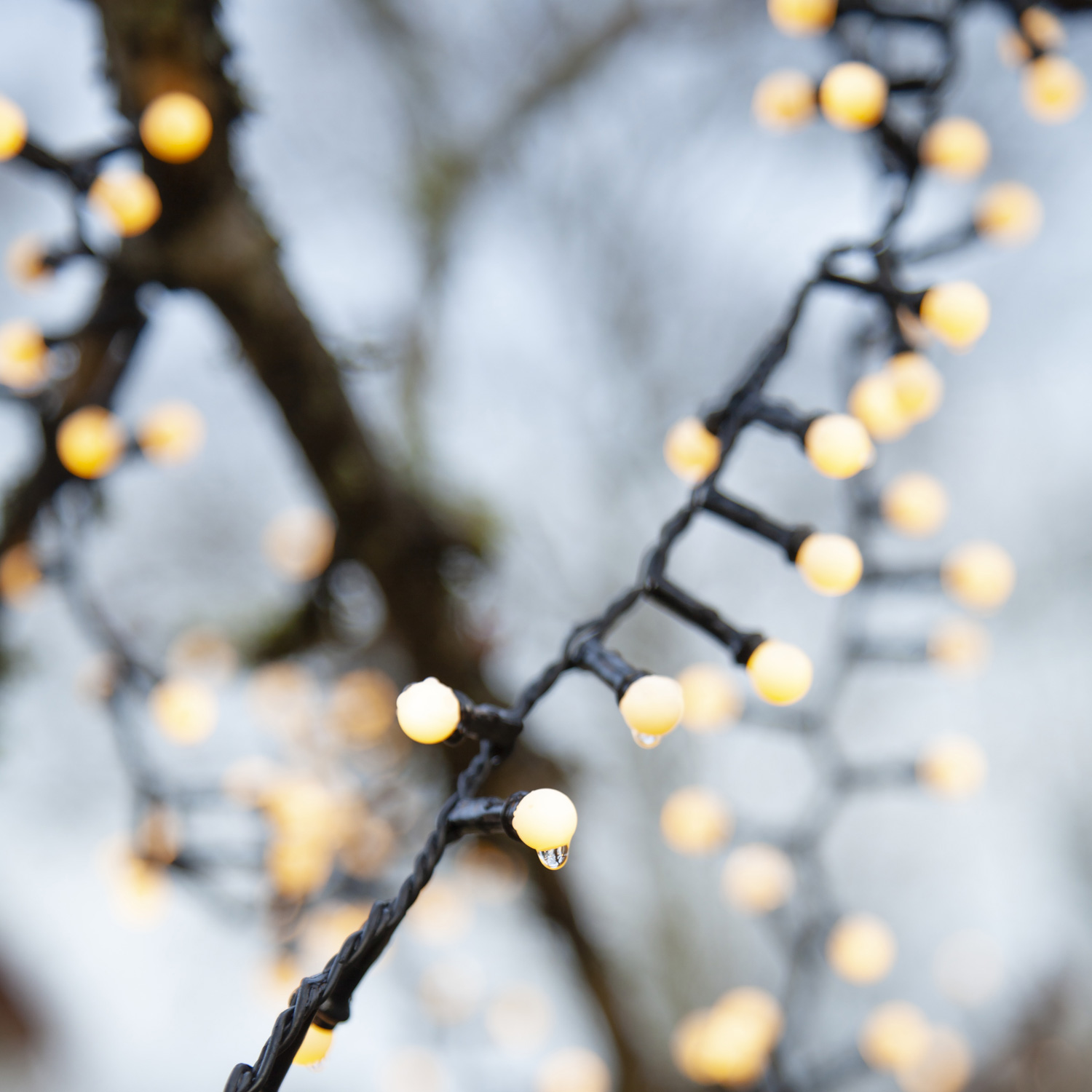 LED Lichterkette Berry Mini - 700 warmweiße opale LED - 14m - 8 Funktionen - Trafo - Timer - outdoor