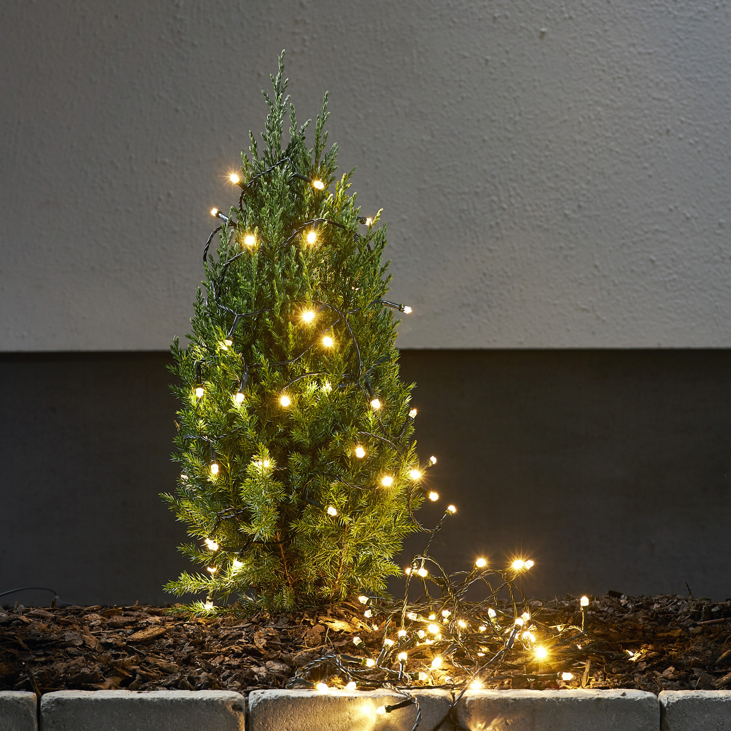 Lichterketten