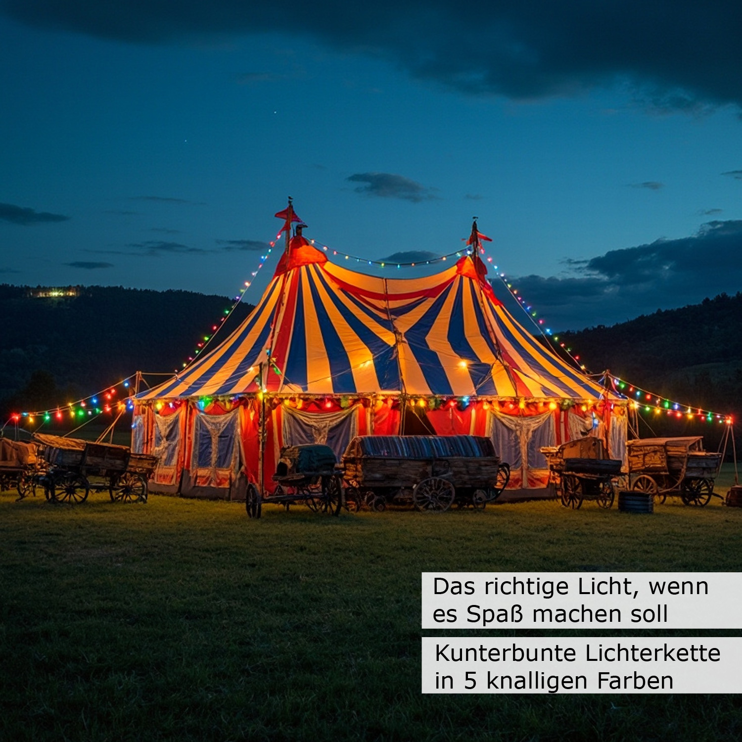 Illu-/Partylichterkette 30m - Außenlichterkette schwarz - Made in Germany 30x bunte LED Tropfenlampe