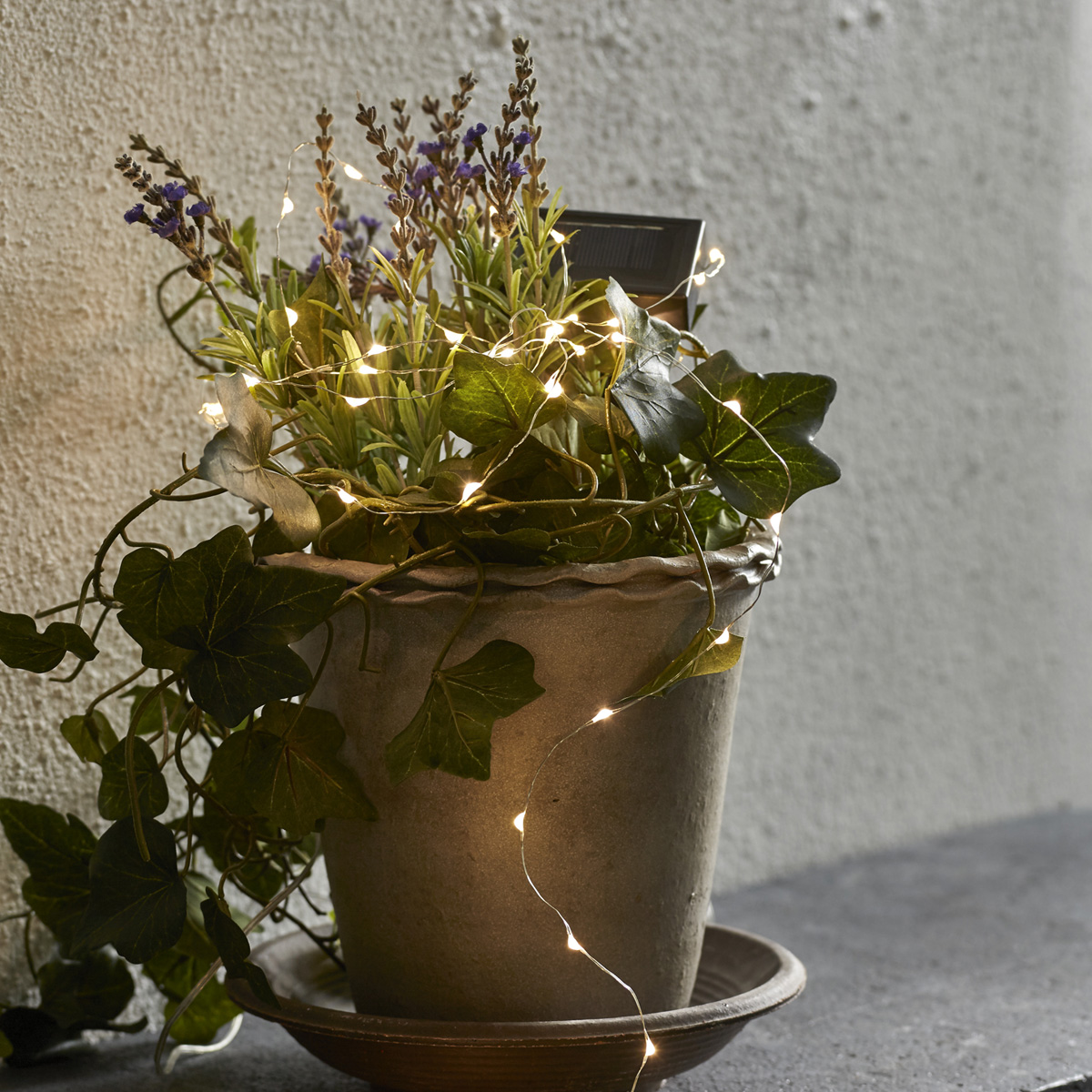 LED-Solar-Lichterkette mit 50 warmweißen LEDs an silbernem Draht - 5m - Dämmerungssensor