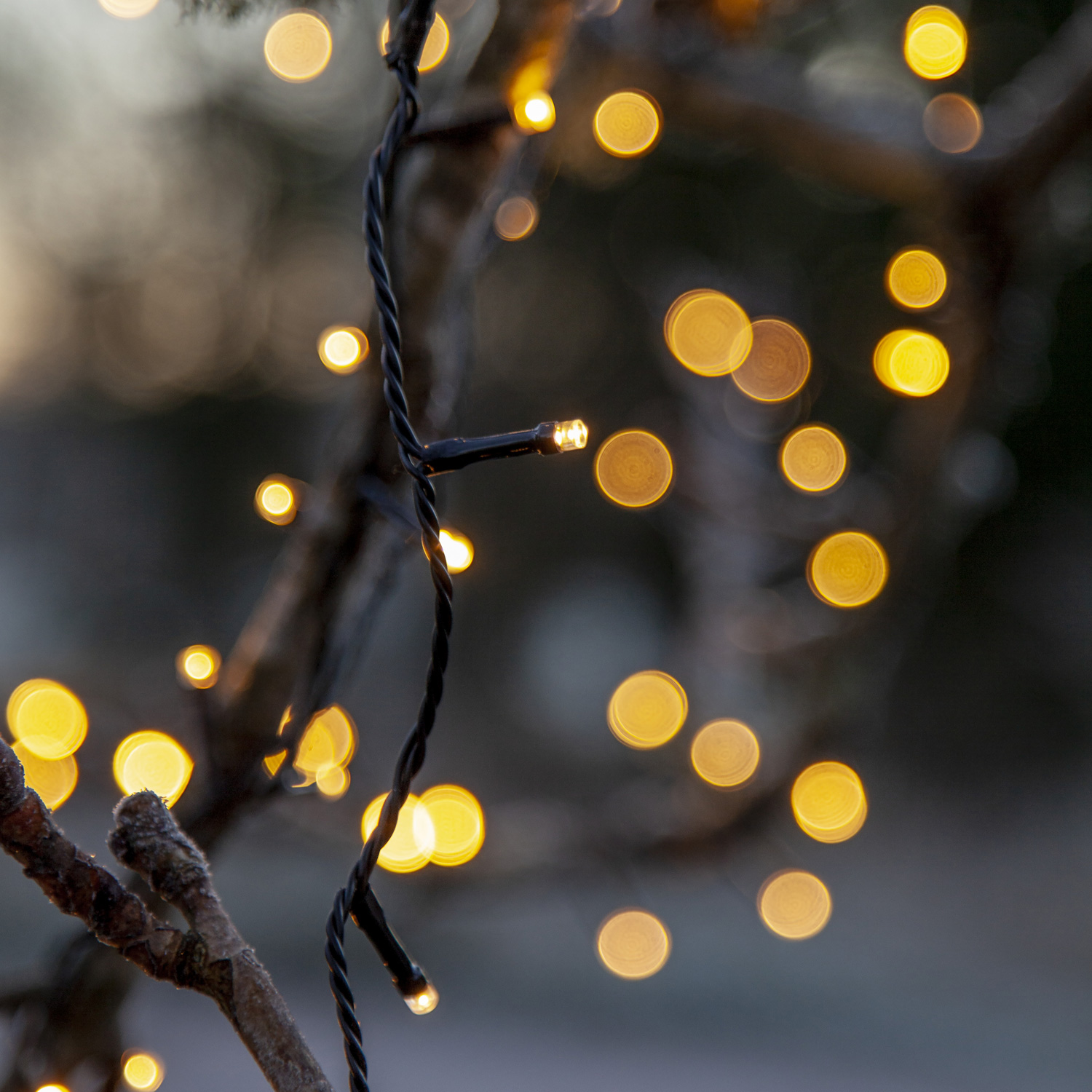 LED Lichterkette - Weihnachtslichterkette - 240 bernstein LED - L: 18m - 8 Modi/ Timer - für Außen