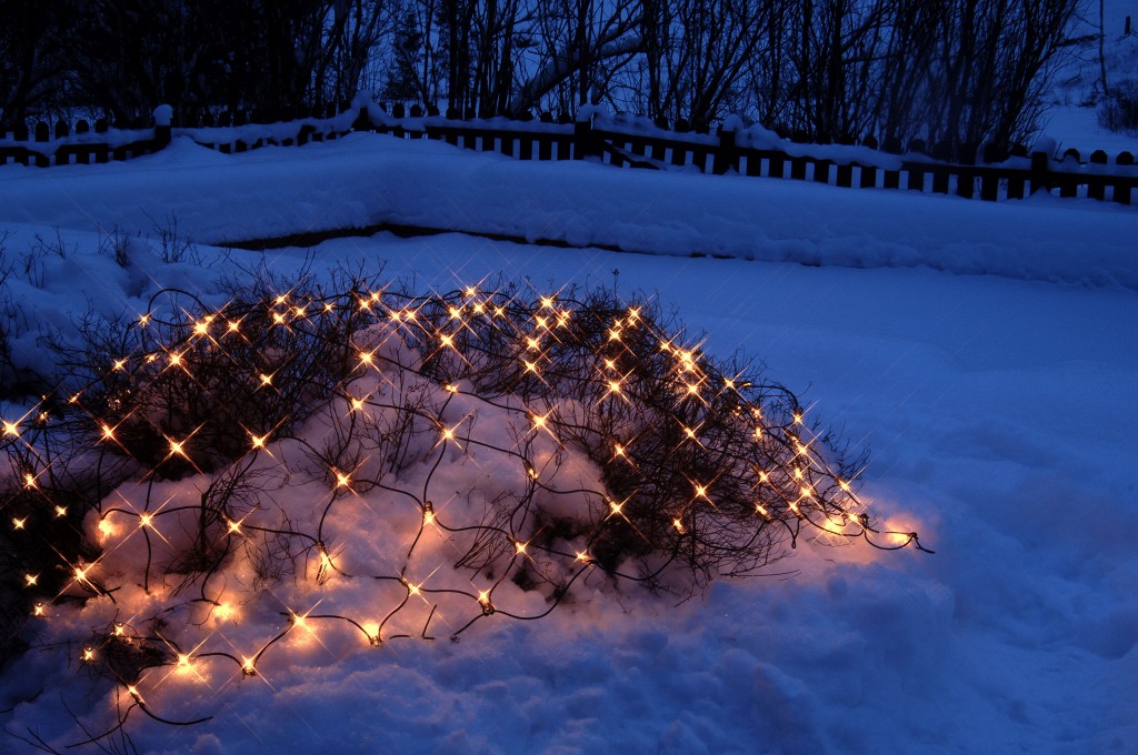 System LED Black | Lichtnetz | koppelbar | exkl. Trafo | 3.00m x 3.00m | 192x Warmweiß