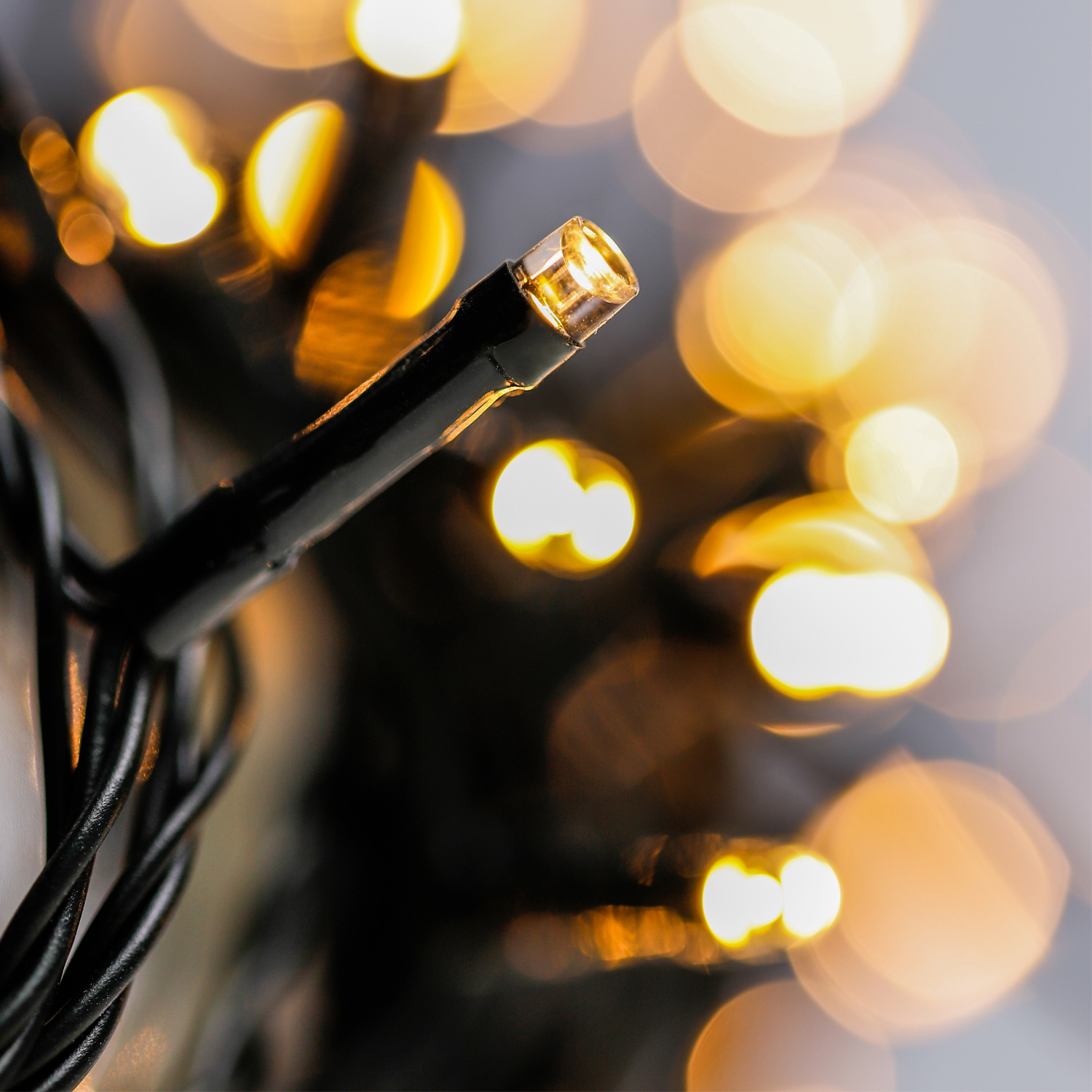 LED Lichterkette - 50 warmweiße LED - L: 4,9m - Timer - grünes Kabel - für Außen